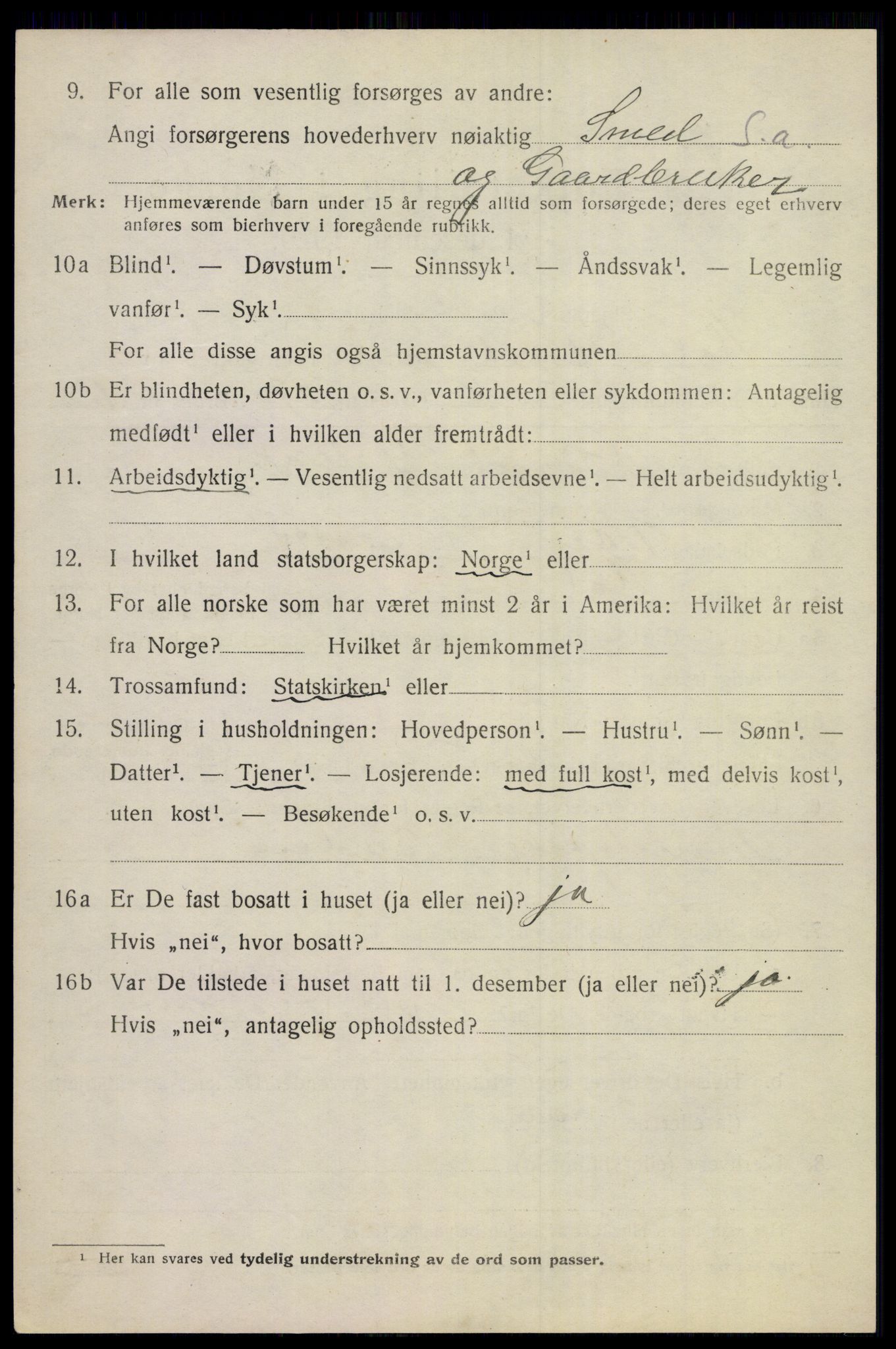 SAKO, 1920 census for Hol (Buskerud), 1920, p. 4080