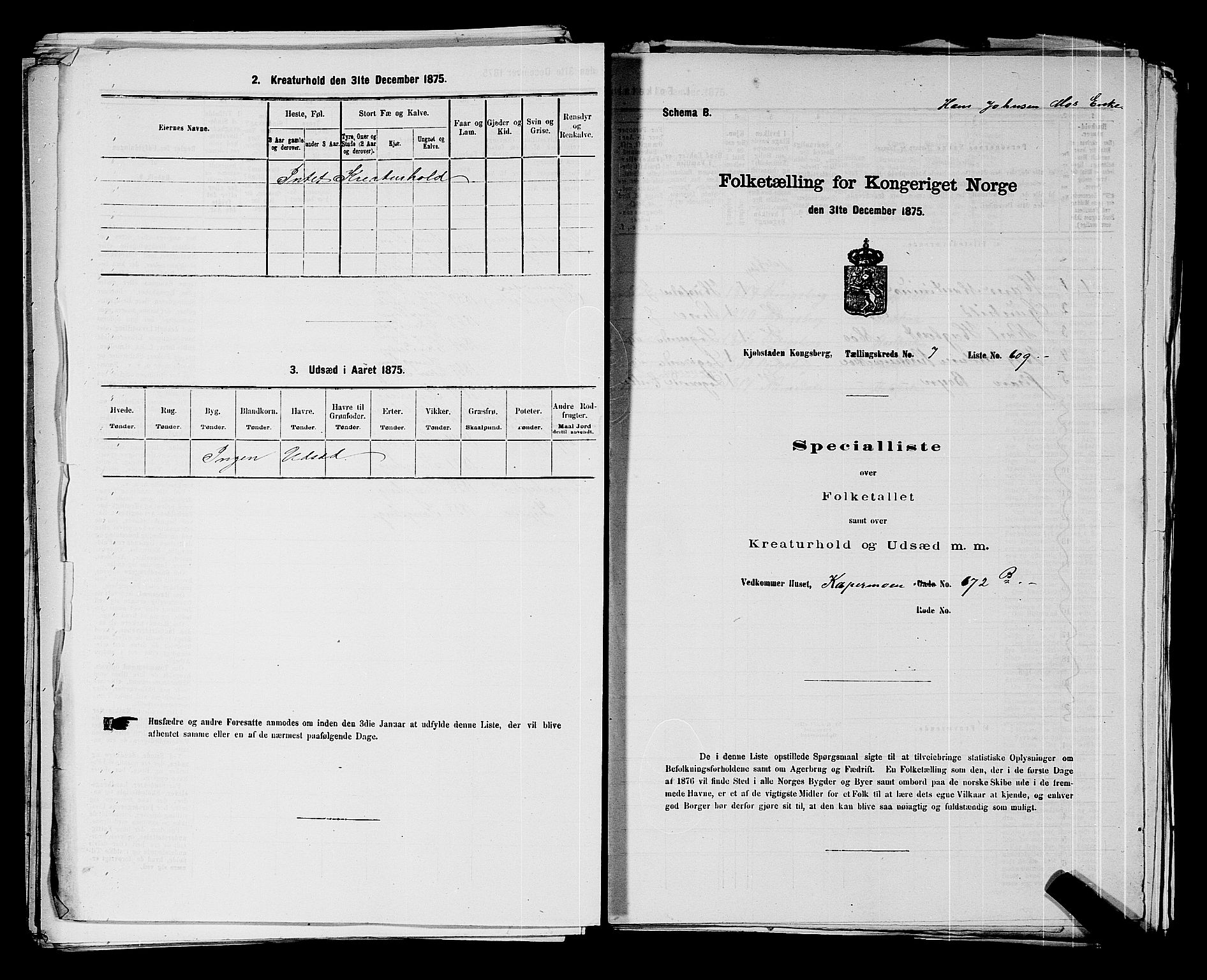 SAKO, 1875 census for 0604B Kongsberg/Kongsberg, 1875, p. 1343