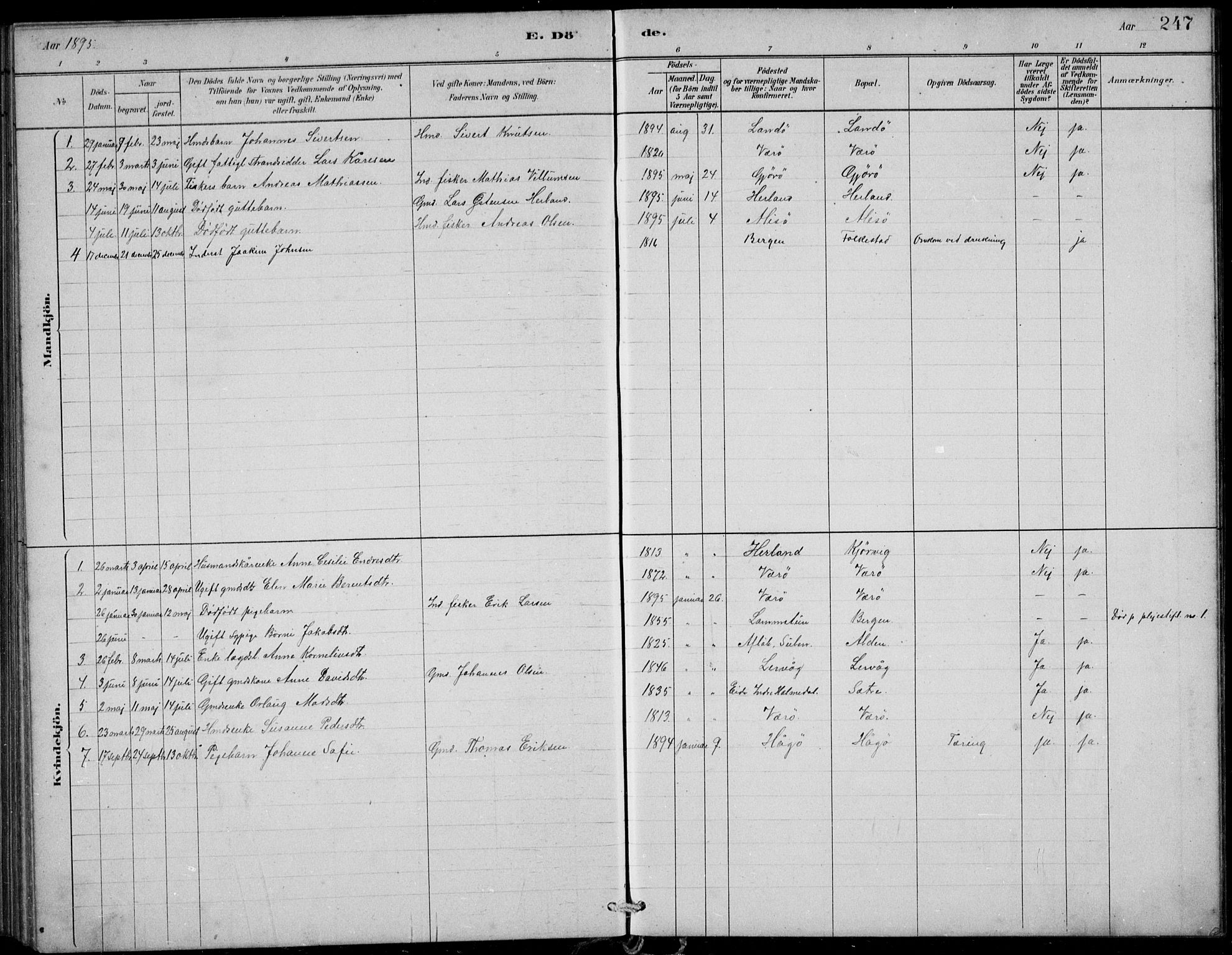 Askvoll sokneprestembete, AV/SAB-A-79501/H/Hab/Habb/L0001: Parish register (copy) no. B 1, 1879-1909, p. 247