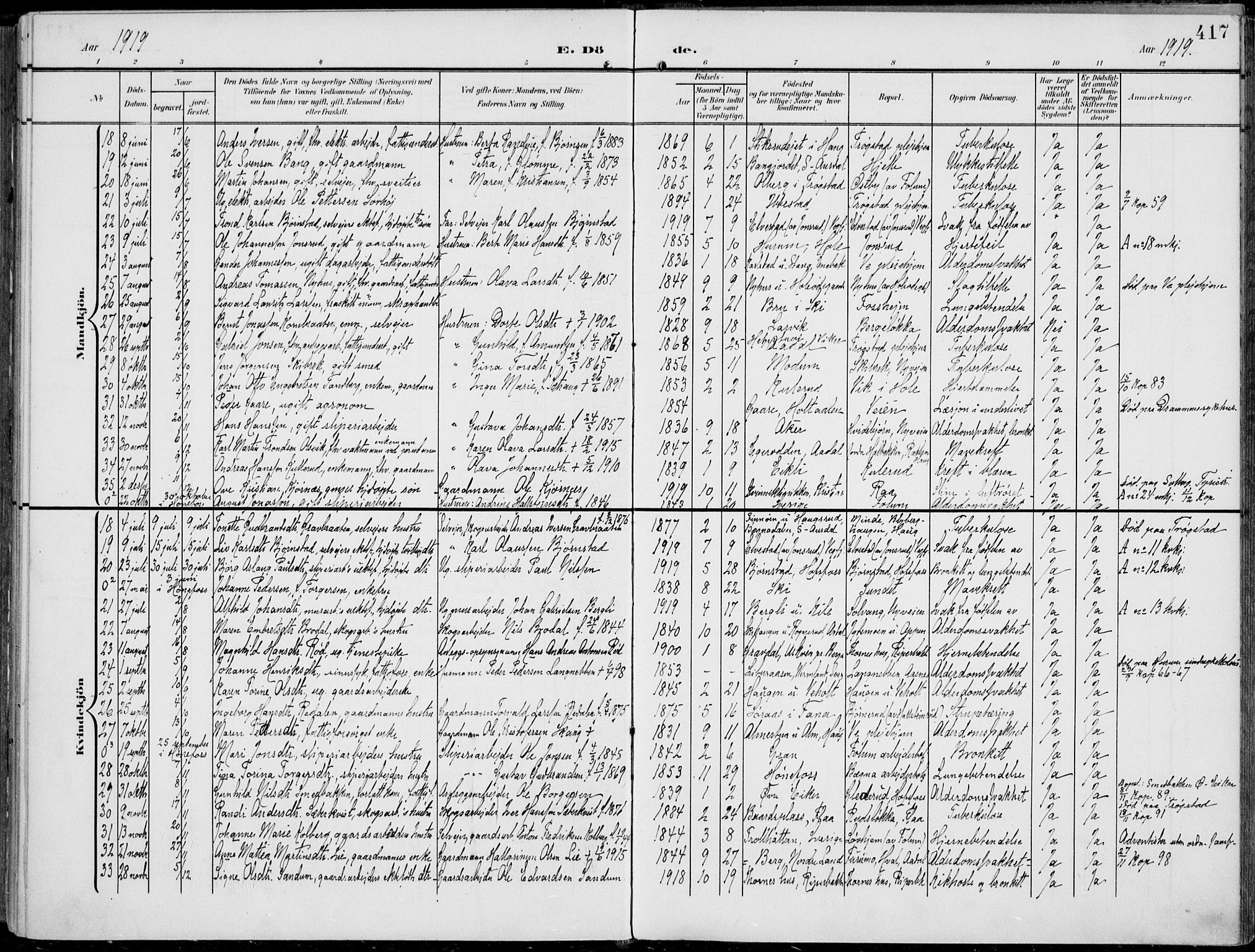 Norderhov kirkebøker, AV/SAKO-A-237/F/Fa/L0017: Parish register (official) no. 17, 1903-1919, p. 417