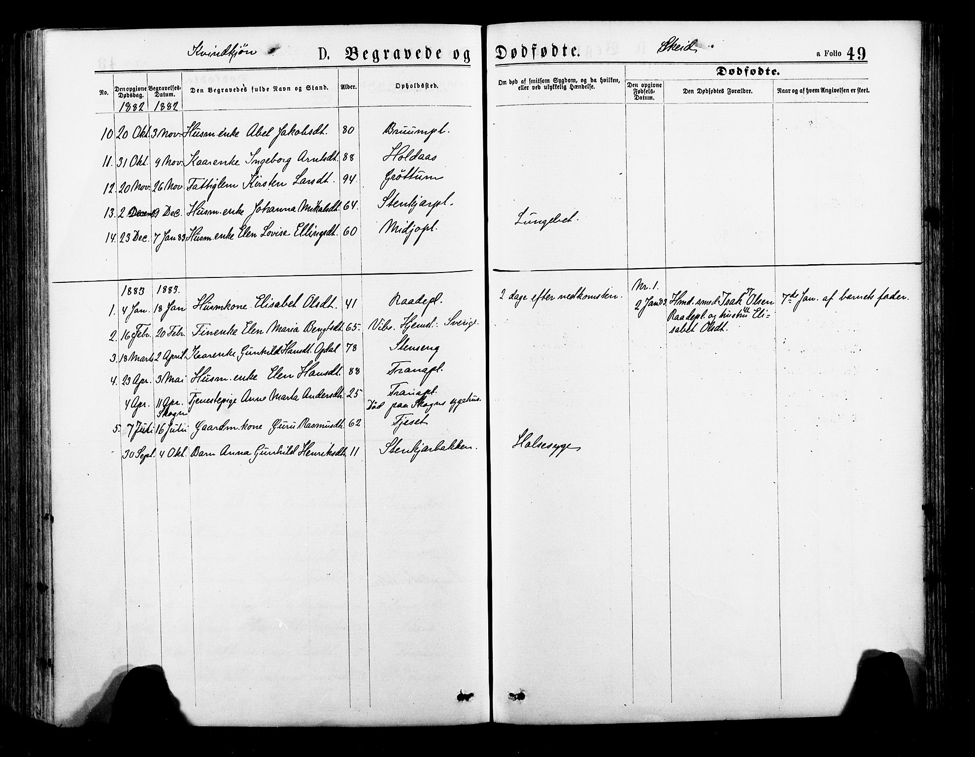 Ministerialprotokoller, klokkerbøker og fødselsregistre - Nord-Trøndelag, SAT/A-1458/735/L0348: Parish register (official) no. 735A09 /2, 1873-1883, p. 49