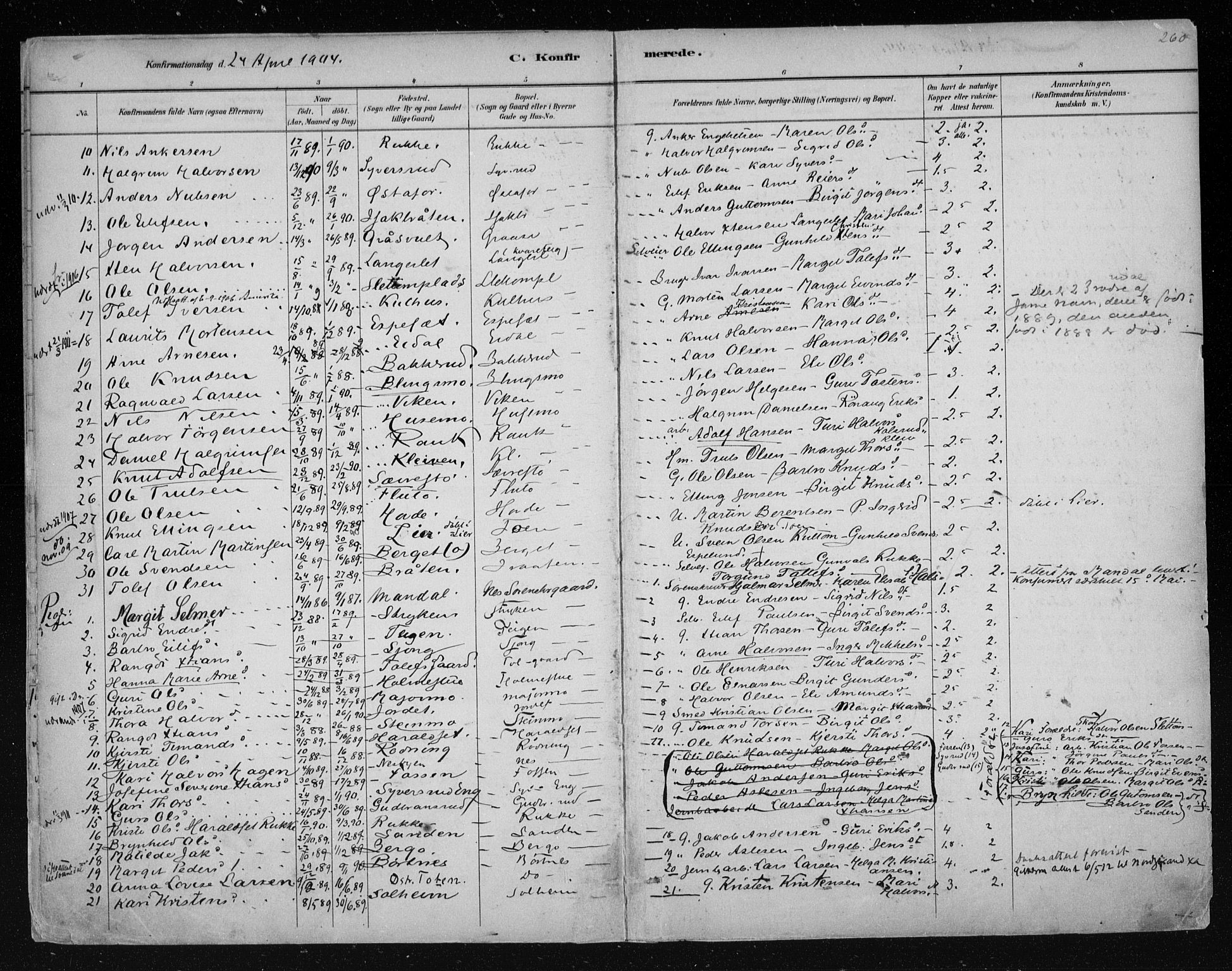 Nes kirkebøker, AV/SAKO-A-236/F/Fa/L0011: Parish register (official) no. 11, 1881-1912, p. 260