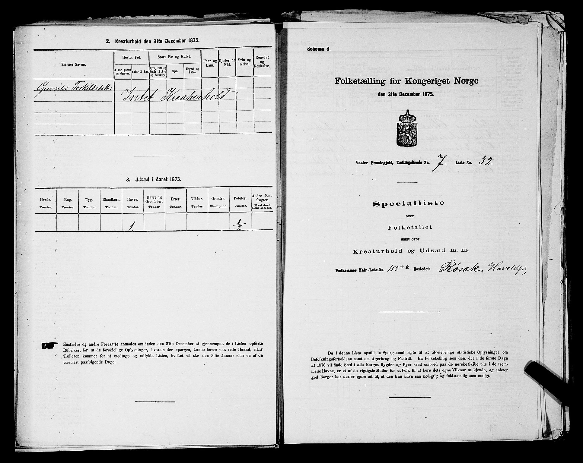 RA, 1875 census for 0137P Våler, 1875, p. 1013