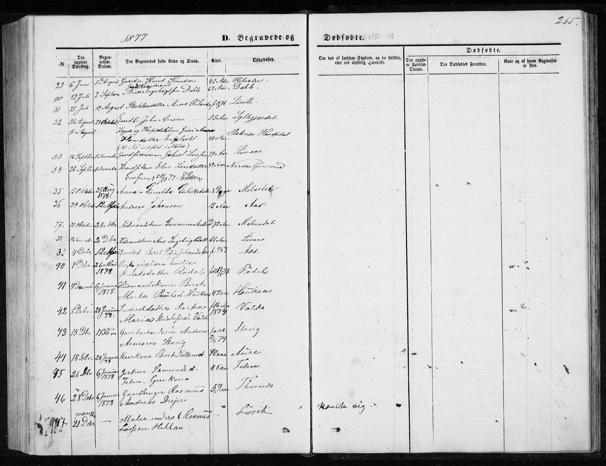 Ministerialprotokoller, klokkerbøker og fødselsregistre - Møre og Romsdal, AV/SAT-A-1454/565/L0754: Parish register (copy) no. 565C03, 1870-1896, p. 265