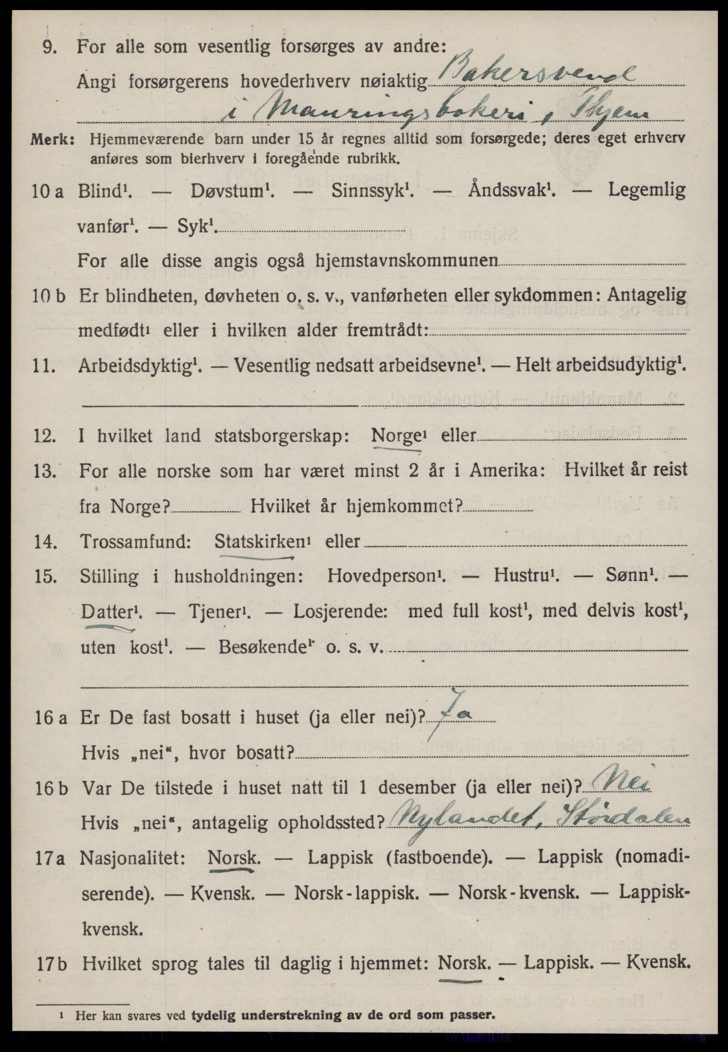 SAT, 1920 census for Strinda, 1920, p. 17577