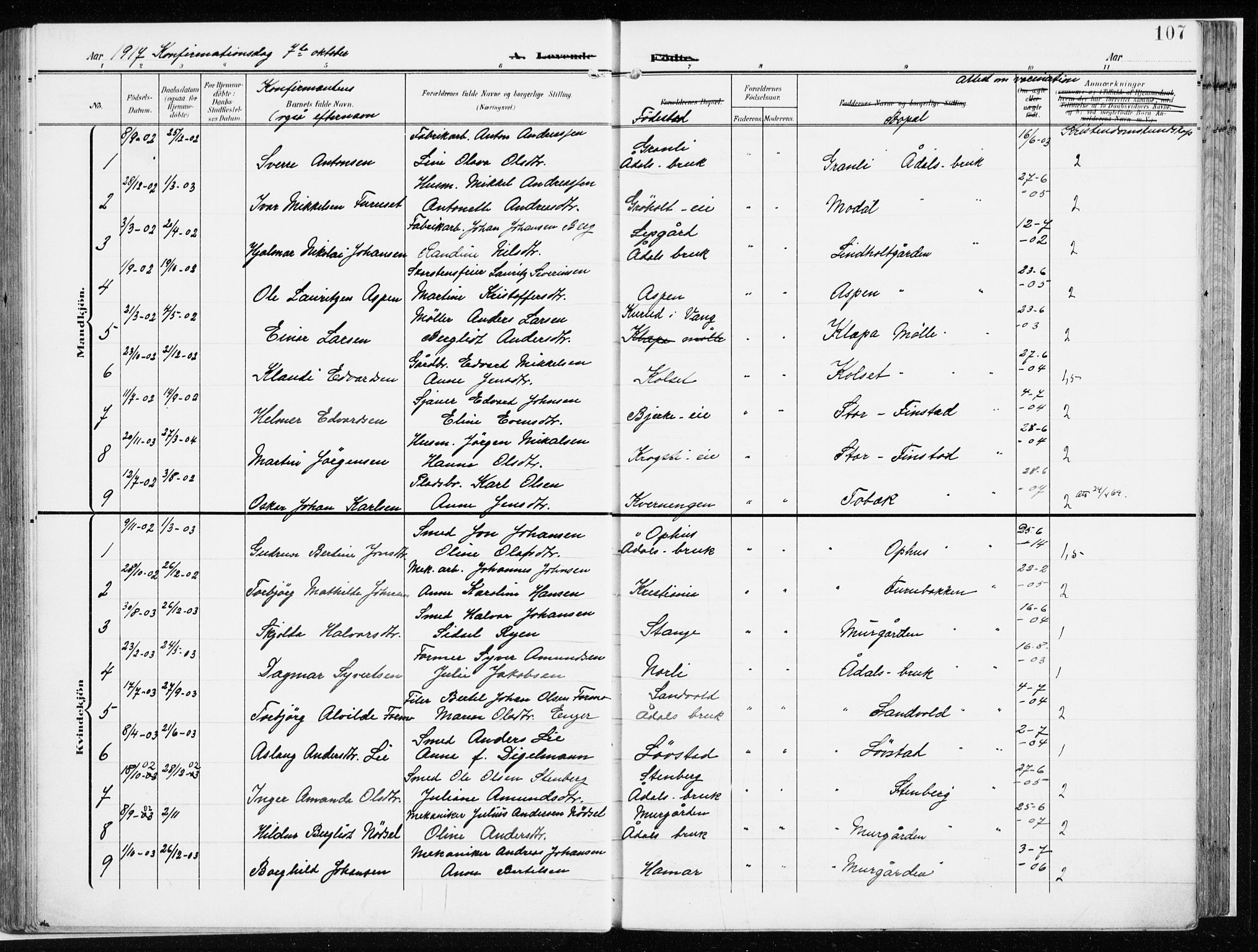 Løten prestekontor, AV/SAH-PREST-022/K/Ka/L0011: Parish register (official) no. 11, 1908-1917, p. 107