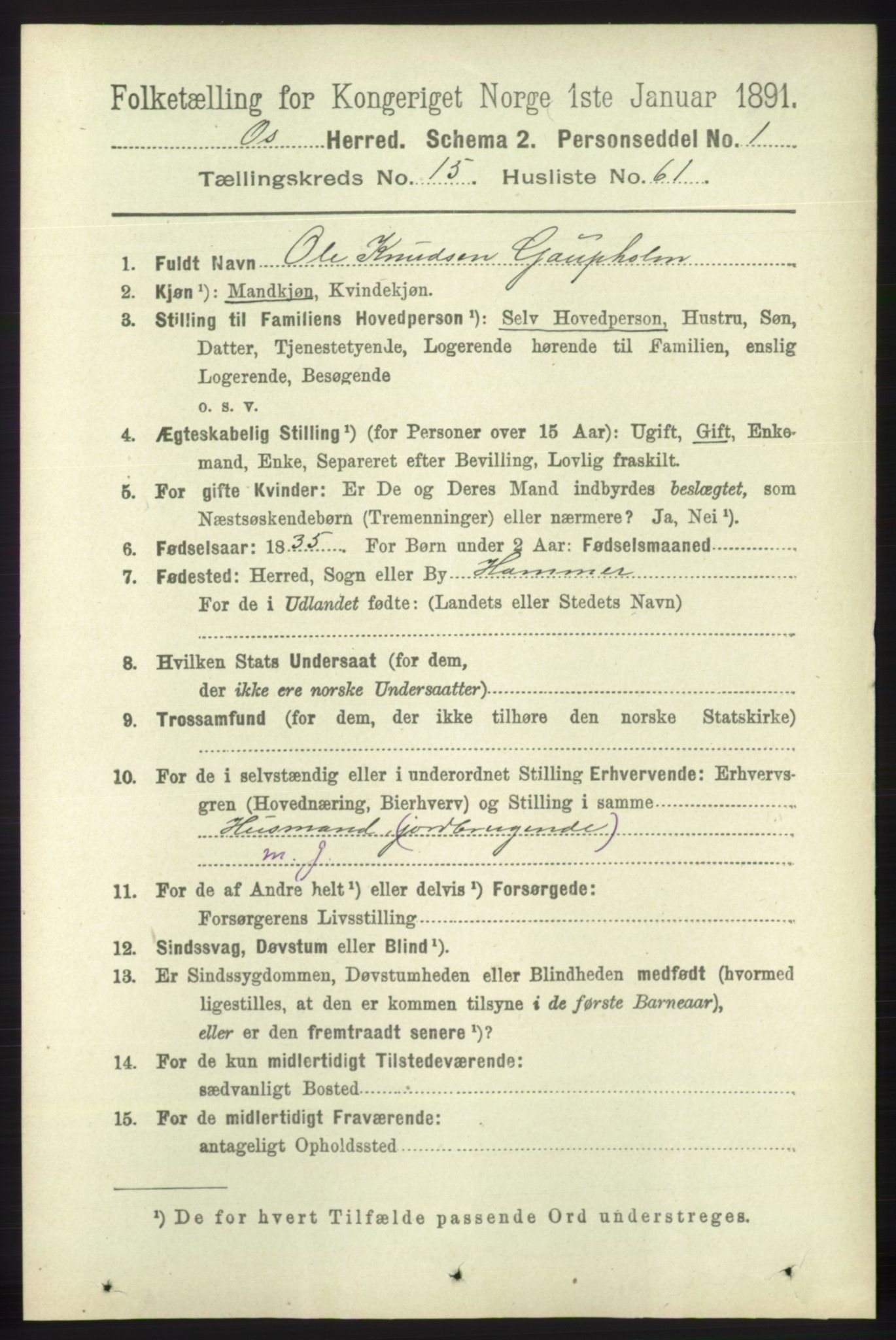 RA, 1891 census for 1243 Os, 1891, p. 3475