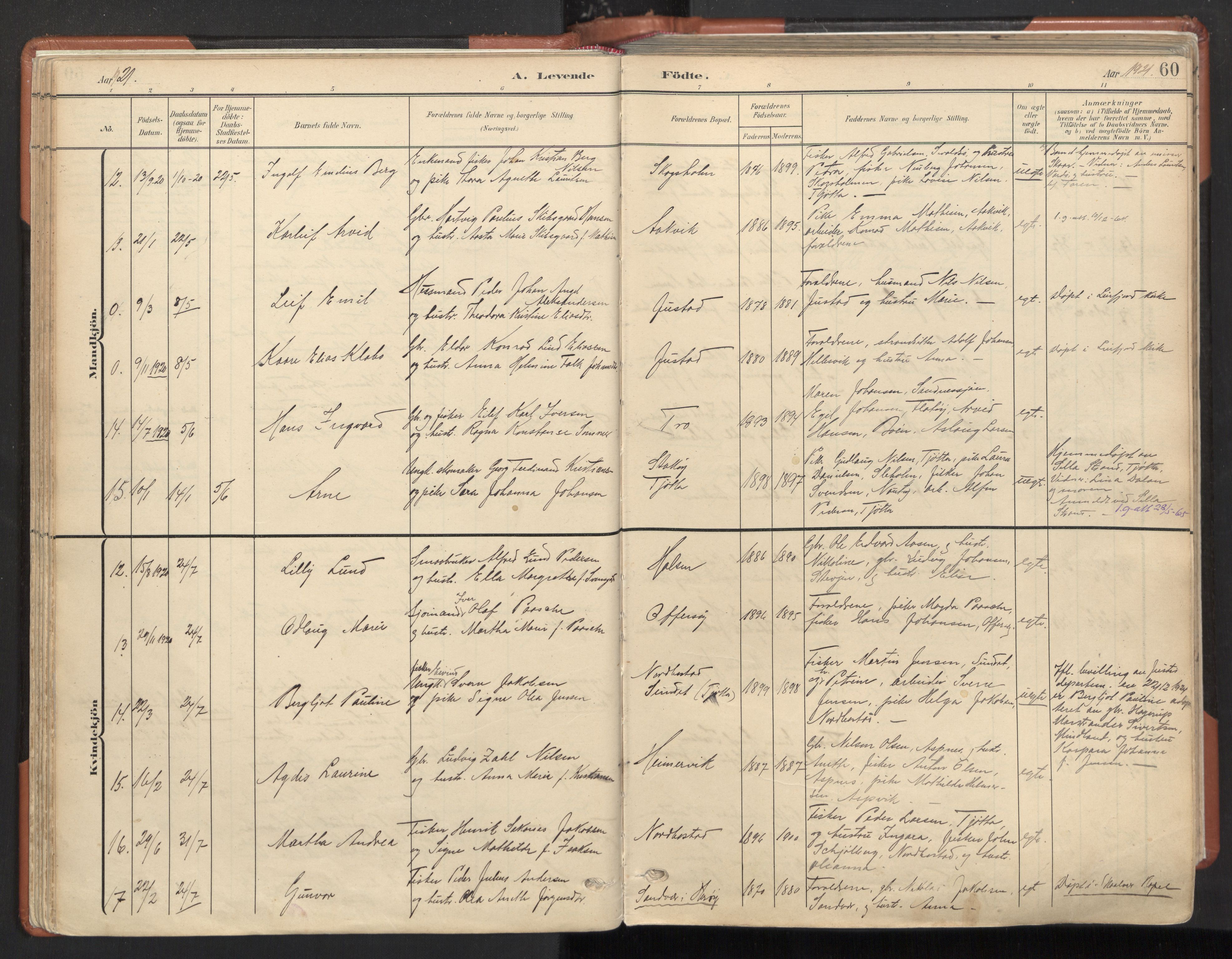 Ministerialprotokoller, klokkerbøker og fødselsregistre - Nordland, AV/SAT-A-1459/817/L0265: Parish register (official) no. 817A05, 1908-1944, p. 60