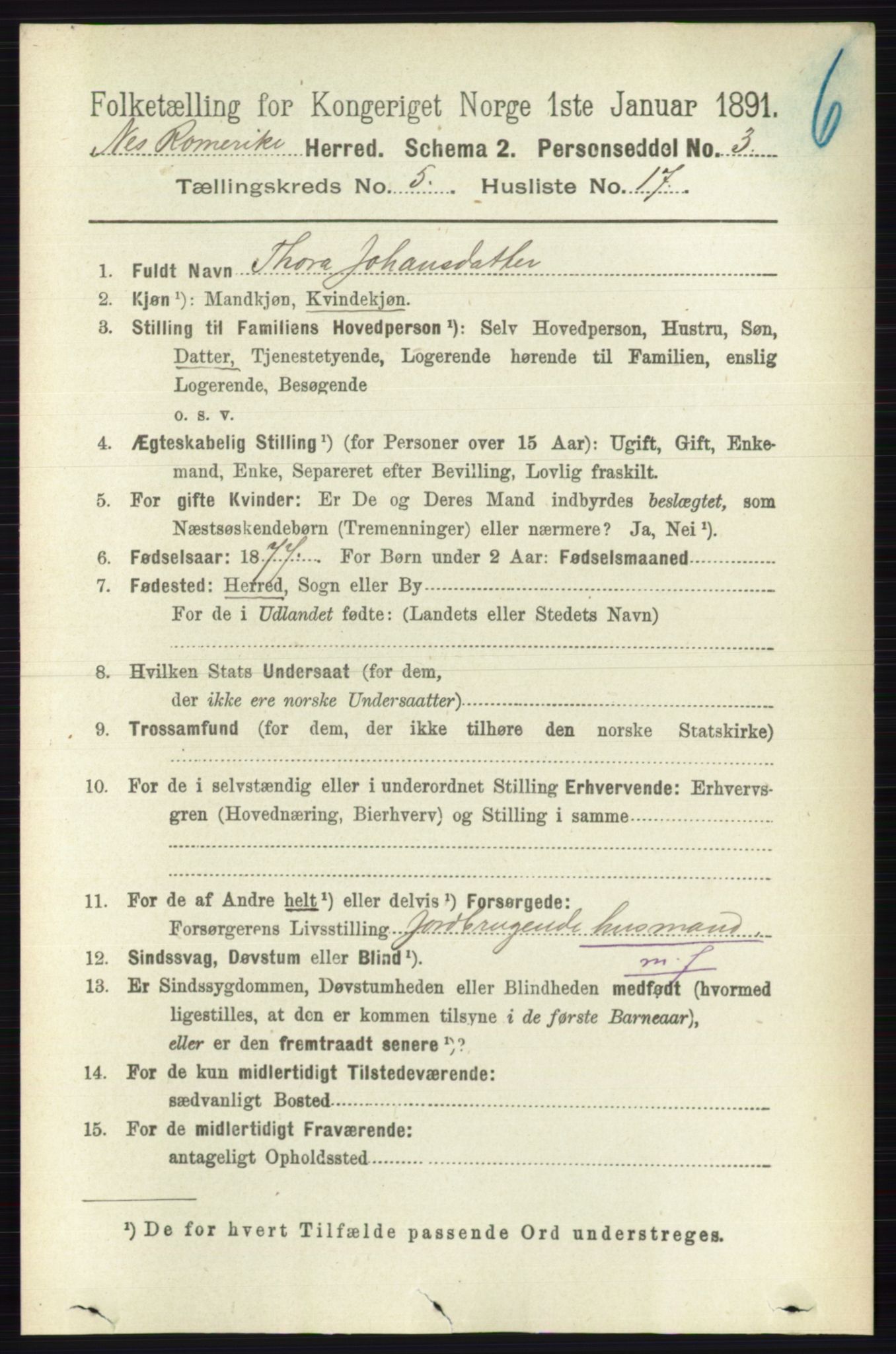 RA, 1891 census for 0236 Nes, 1891, p. 2883