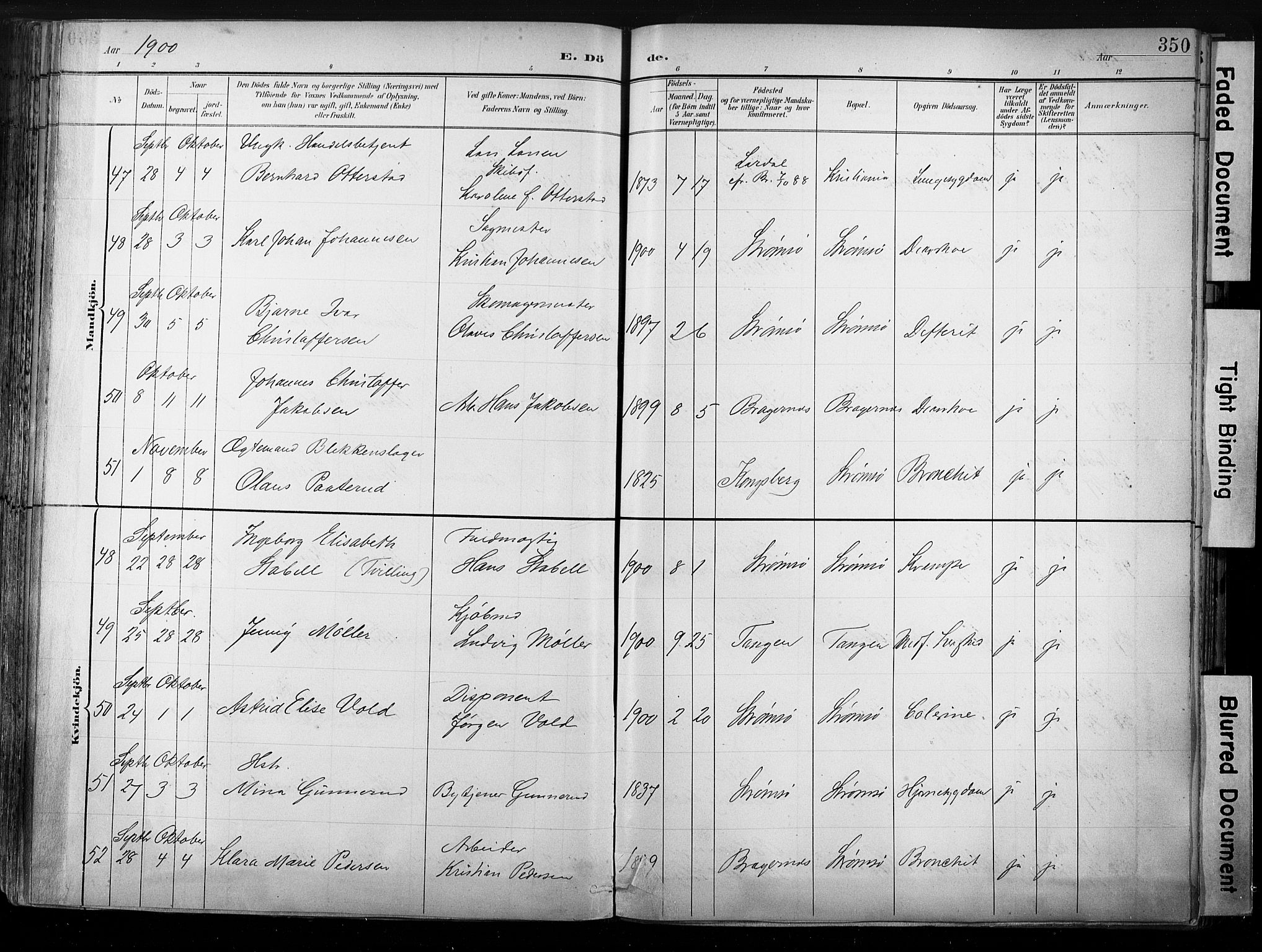Strømsø kirkebøker, SAKO/A-246/G/Ga/L0003: Parish register (copy) no. 3, 1894-1904, p. 350