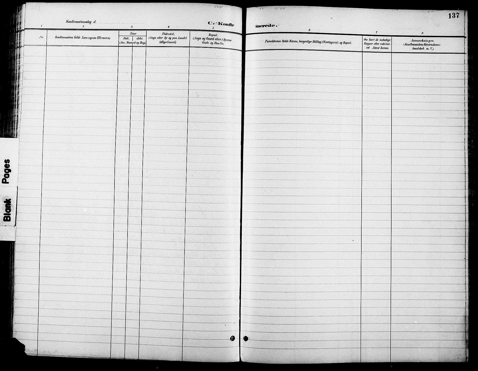 Lesja prestekontor, SAH/PREST-068/H/Ha/Hab/L0007: Parish register (copy) no. 7, 1895-1919, p. 137