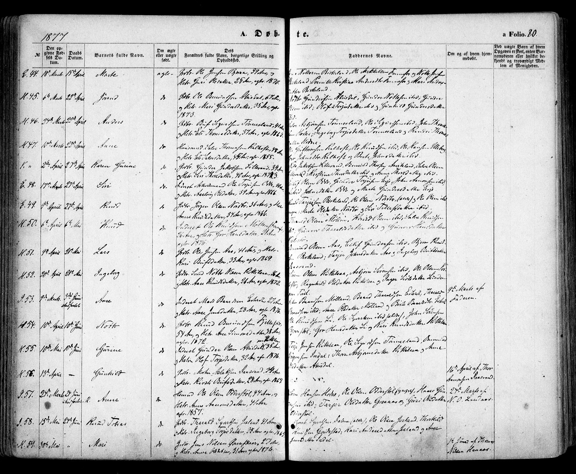 Evje sokneprestkontor, AV/SAK-1111-0008/F/Fa/Faa/L0006: Parish register (official) no. A 6, 1866-1884, p. 80