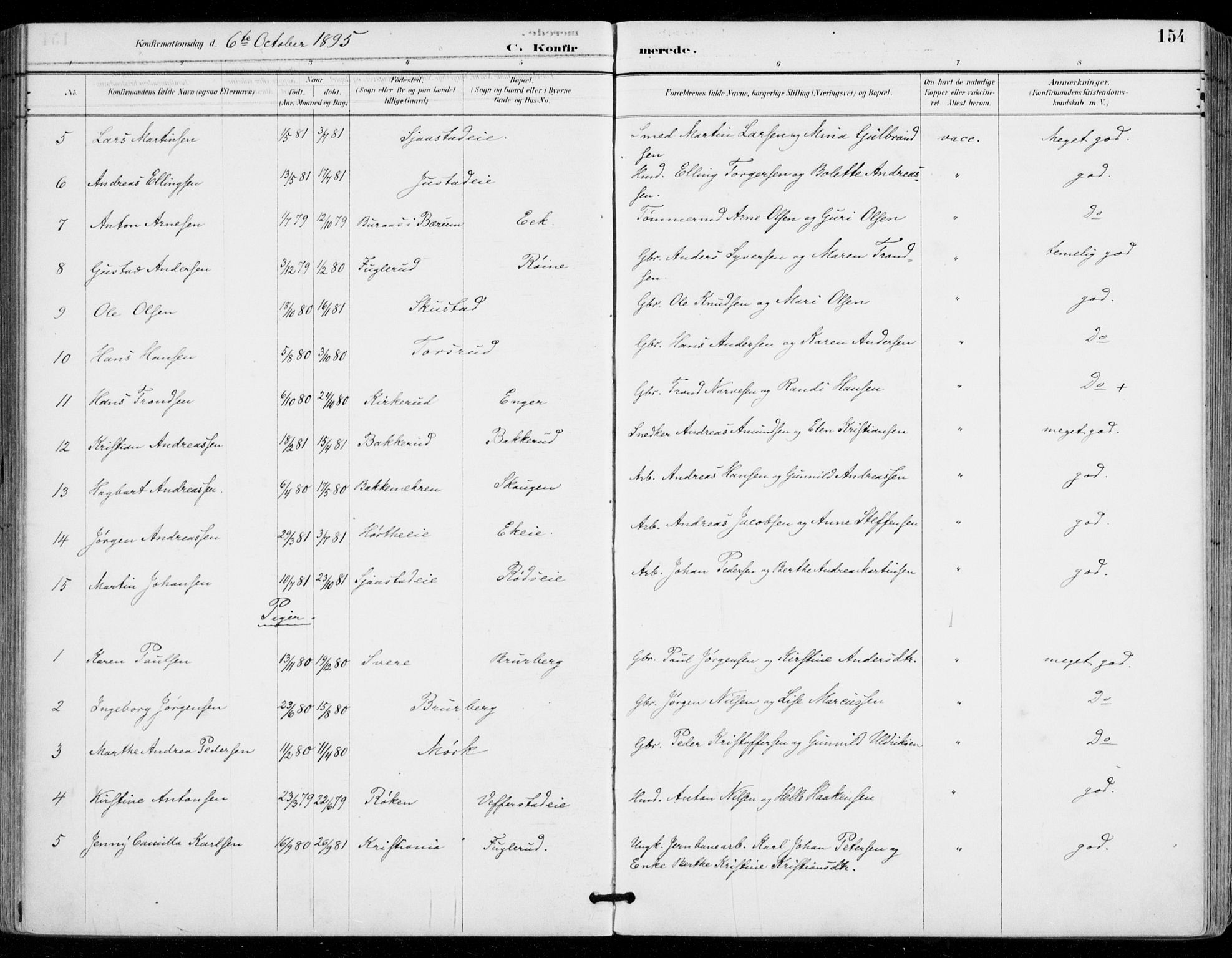 Sylling kirkebøker, AV/SAKO-A-247/F/Fa/L0001: Parish register (official) no. 1, 1883-1910, p. 154