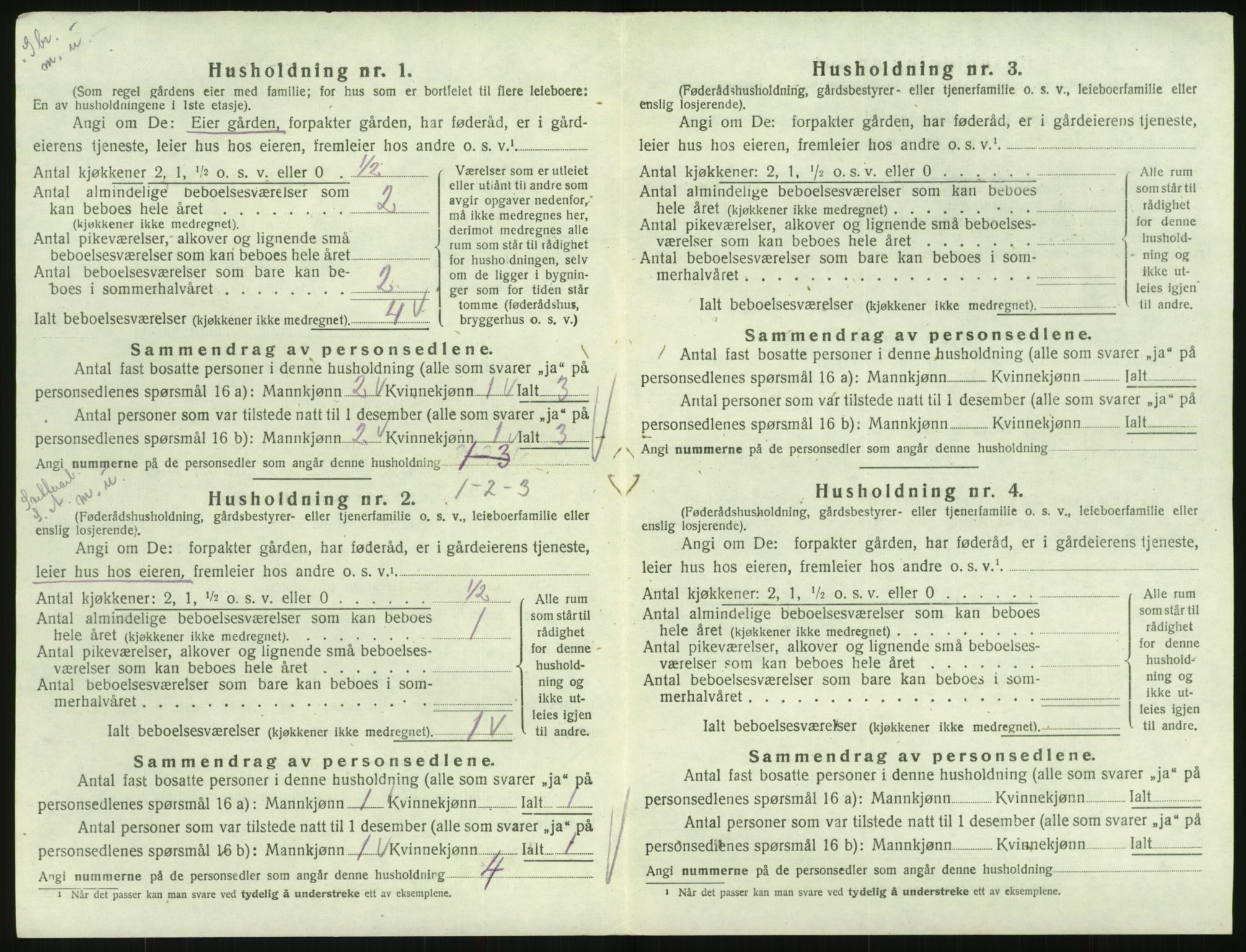 SAK, 1920 census for Hornnes, 1920, p. 120