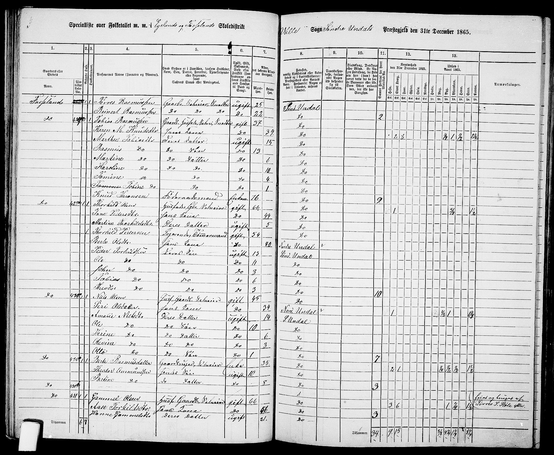 RA, 1865 census for Sør-Audnedal, 1865, p. 67