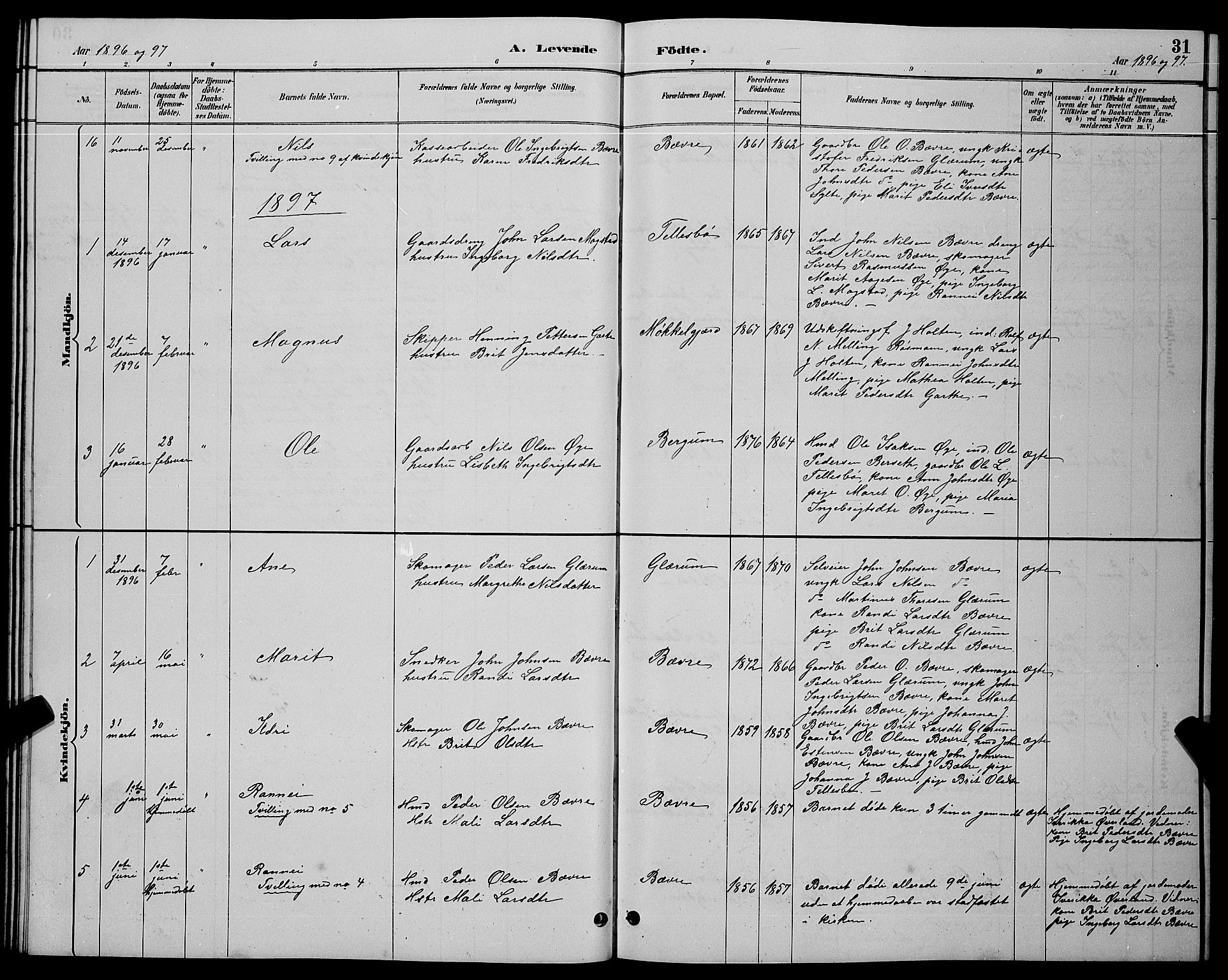 Ministerialprotokoller, klokkerbøker og fødselsregistre - Møre og Romsdal, AV/SAT-A-1454/595/L1052: Parish register (copy) no. 595C04, 1885-1900, p. 31