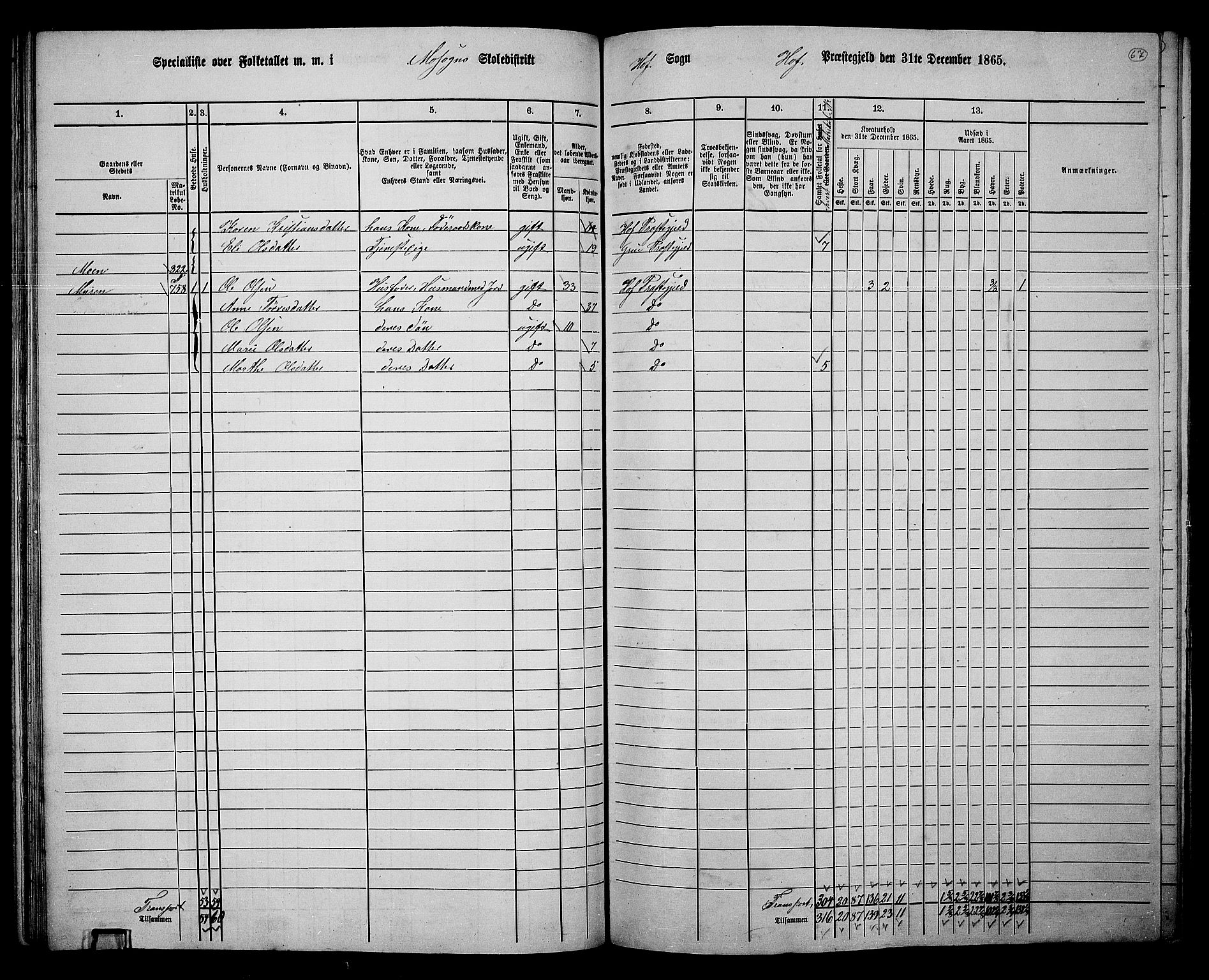 RA, 1865 census for Hof, 1865, p. 63