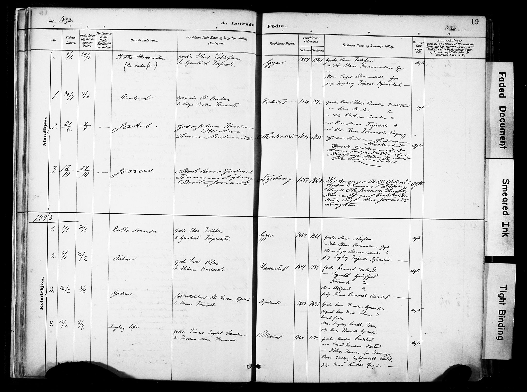 Lund sokneprestkontor, AV/SAST-A-101809/S06/L0012: Parish register (official) no. A 11, 1887-1921, p. 19