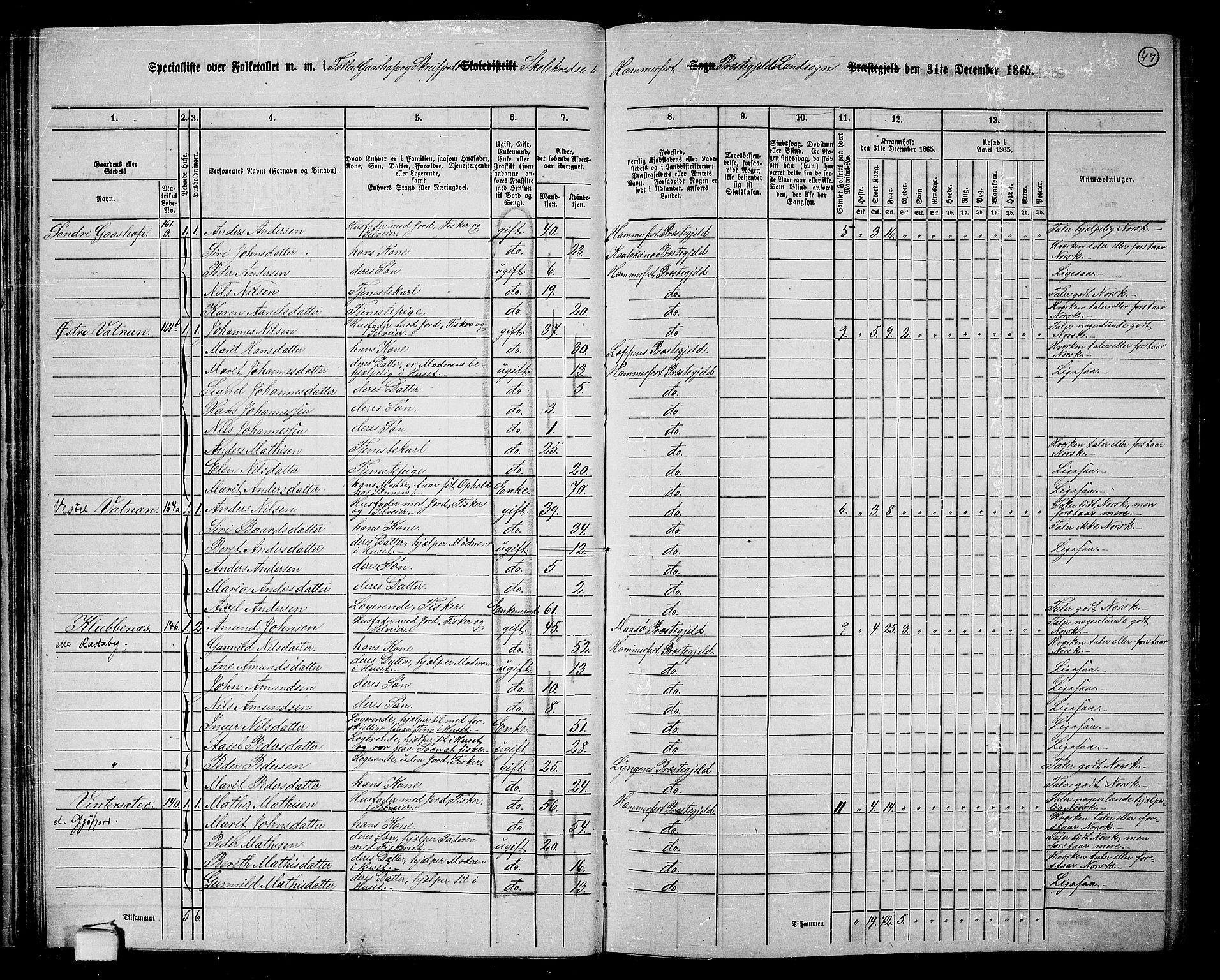 RA, 1865 census for Hammerfest/Hammerfest, 1865, p. 45