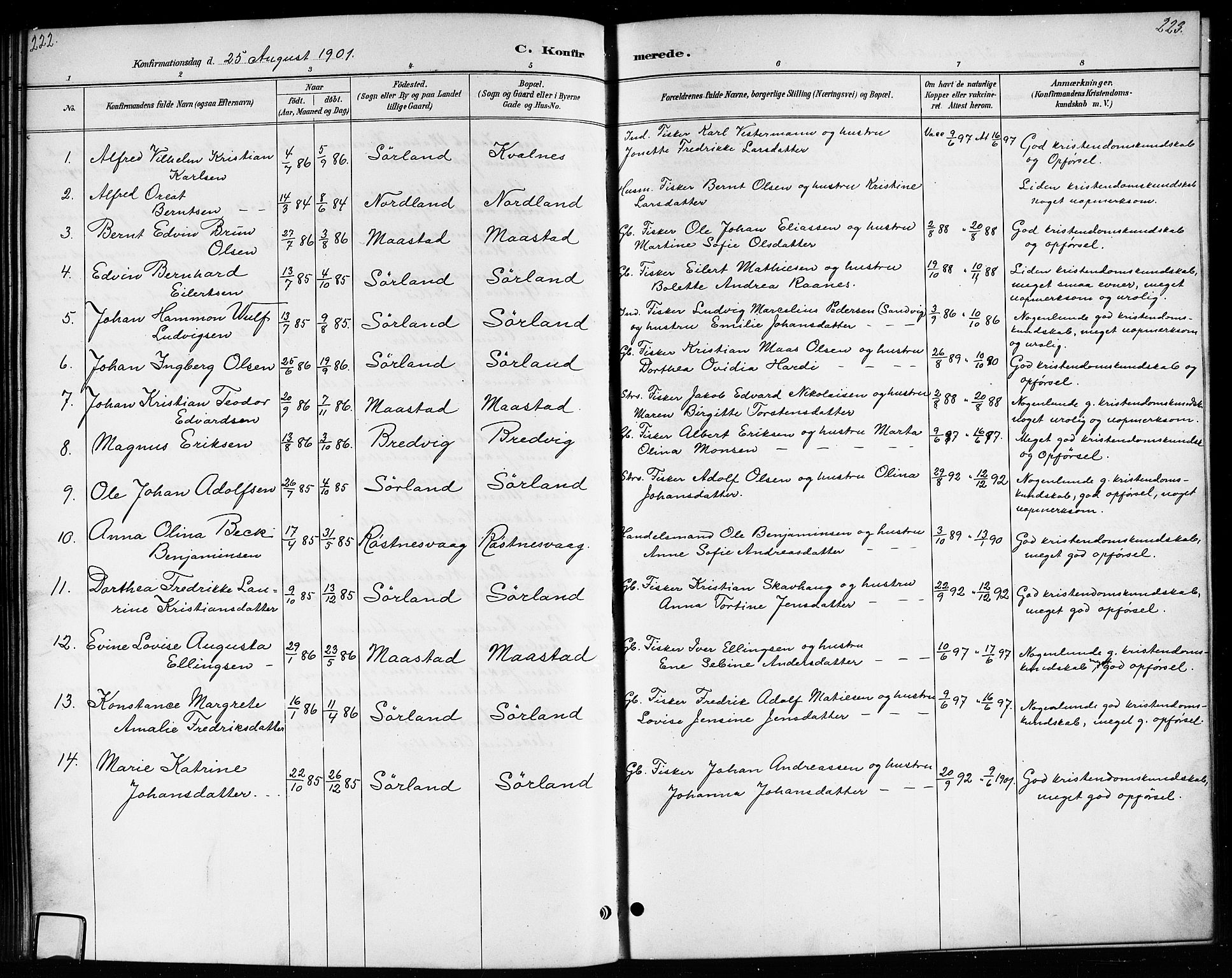 Ministerialprotokoller, klokkerbøker og fødselsregistre - Nordland, AV/SAT-A-1459/807/L0123: Parish register (copy) no. 807C01, 1884-1910, p. 222-223