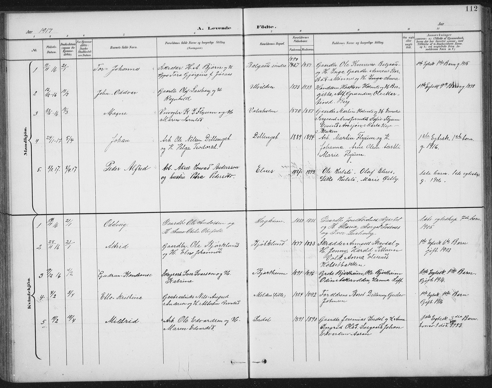 Ministerialprotokoller, klokkerbøker og fødselsregistre - Nord-Trøndelag, AV/SAT-A-1458/724/L0269: Parish register (copy) no. 724C05, 1899-1920, p. 112