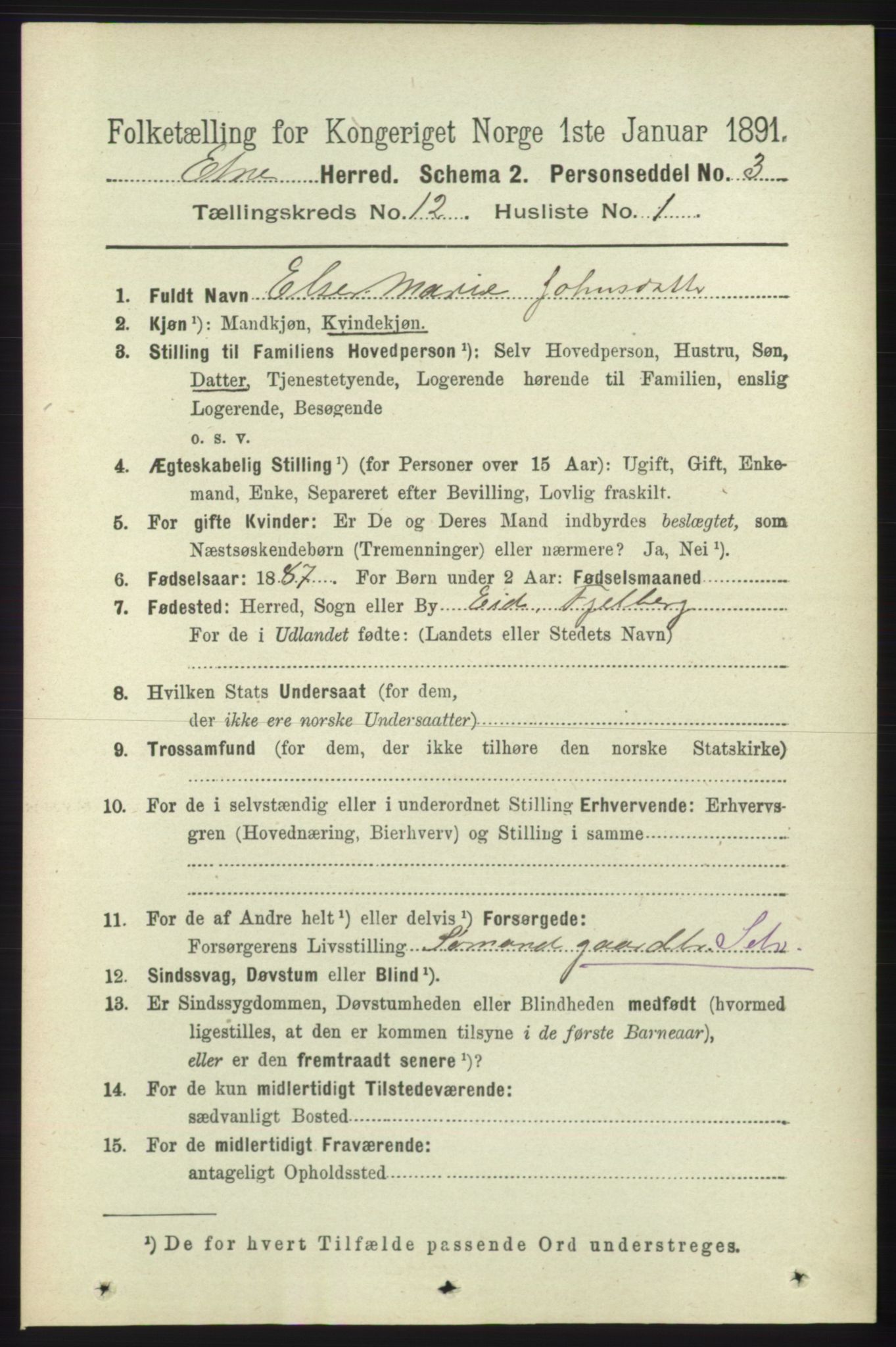 RA, 1891 census for 1211 Etne, 1891, p. 2557