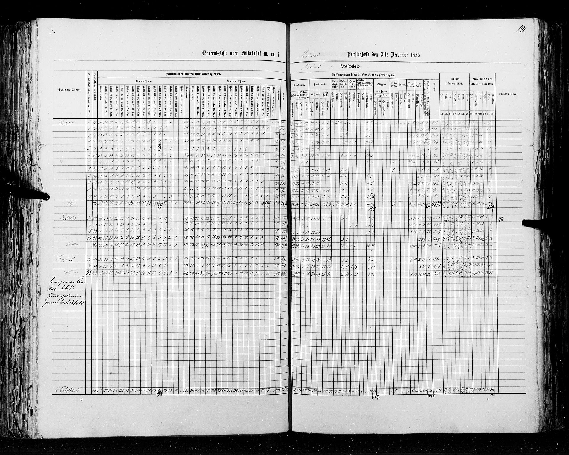 RA, Census 1855, vol. 2: Kristians amt, Buskerud amt og Jarlsberg og Larvik amt, 1855, p. 191