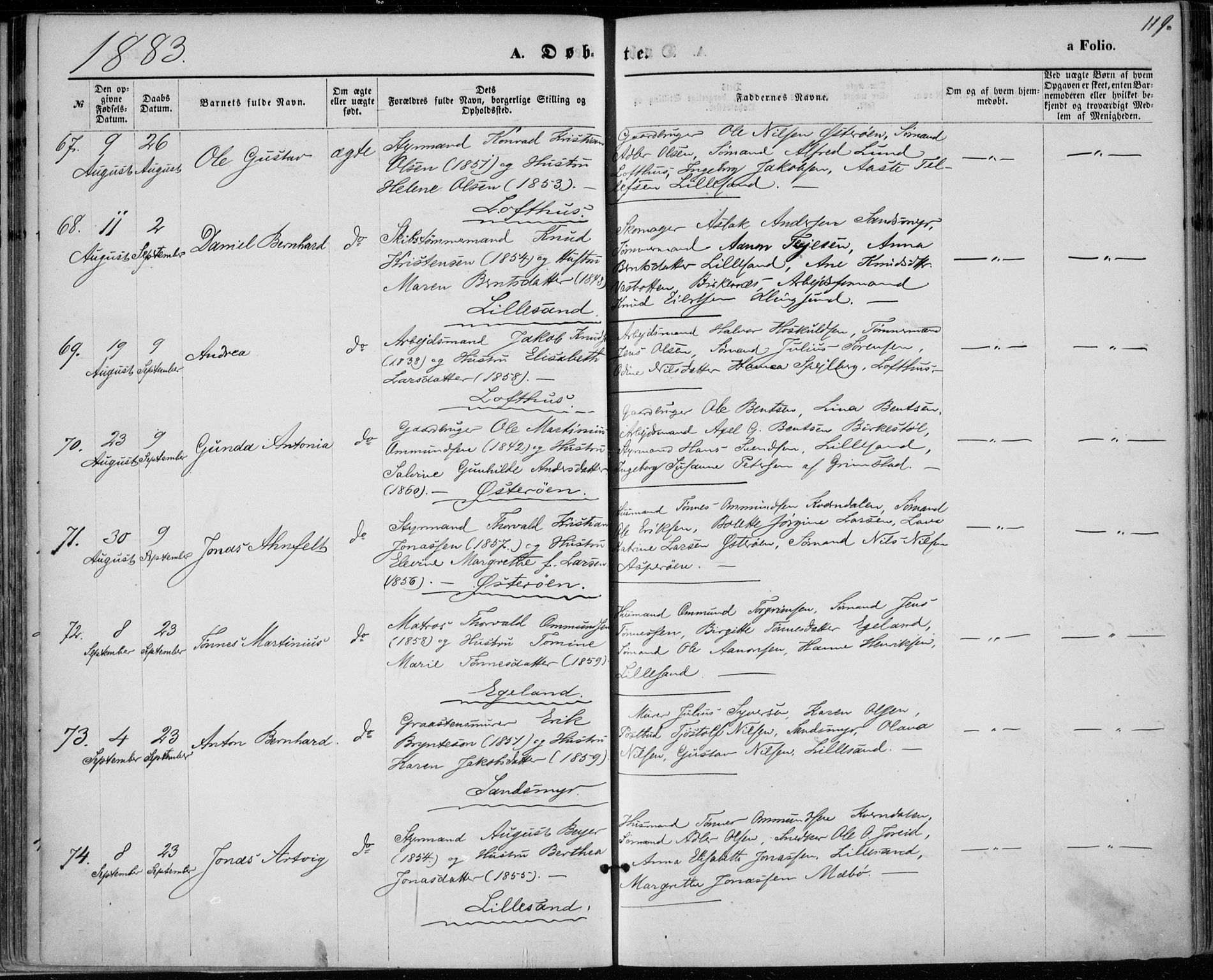 Vestre Moland sokneprestkontor, SAK/1111-0046/F/Fa/Fab/L0008: Parish register (official) no. A 8, 1873-1883, p. 119