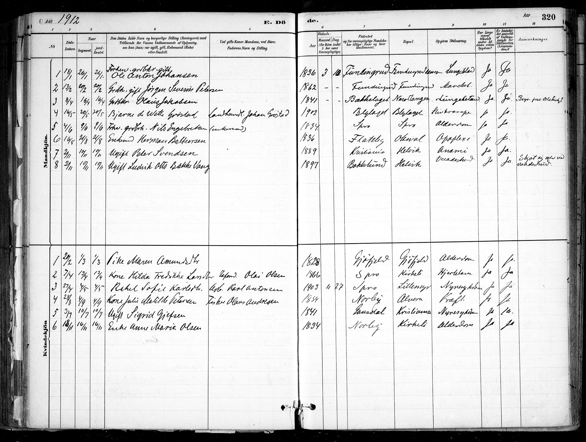 Nesodden prestekontor Kirkebøker, SAO/A-10013/F/Fa/L0009: Parish register (official) no. I 9, 1880-1915, p. 320