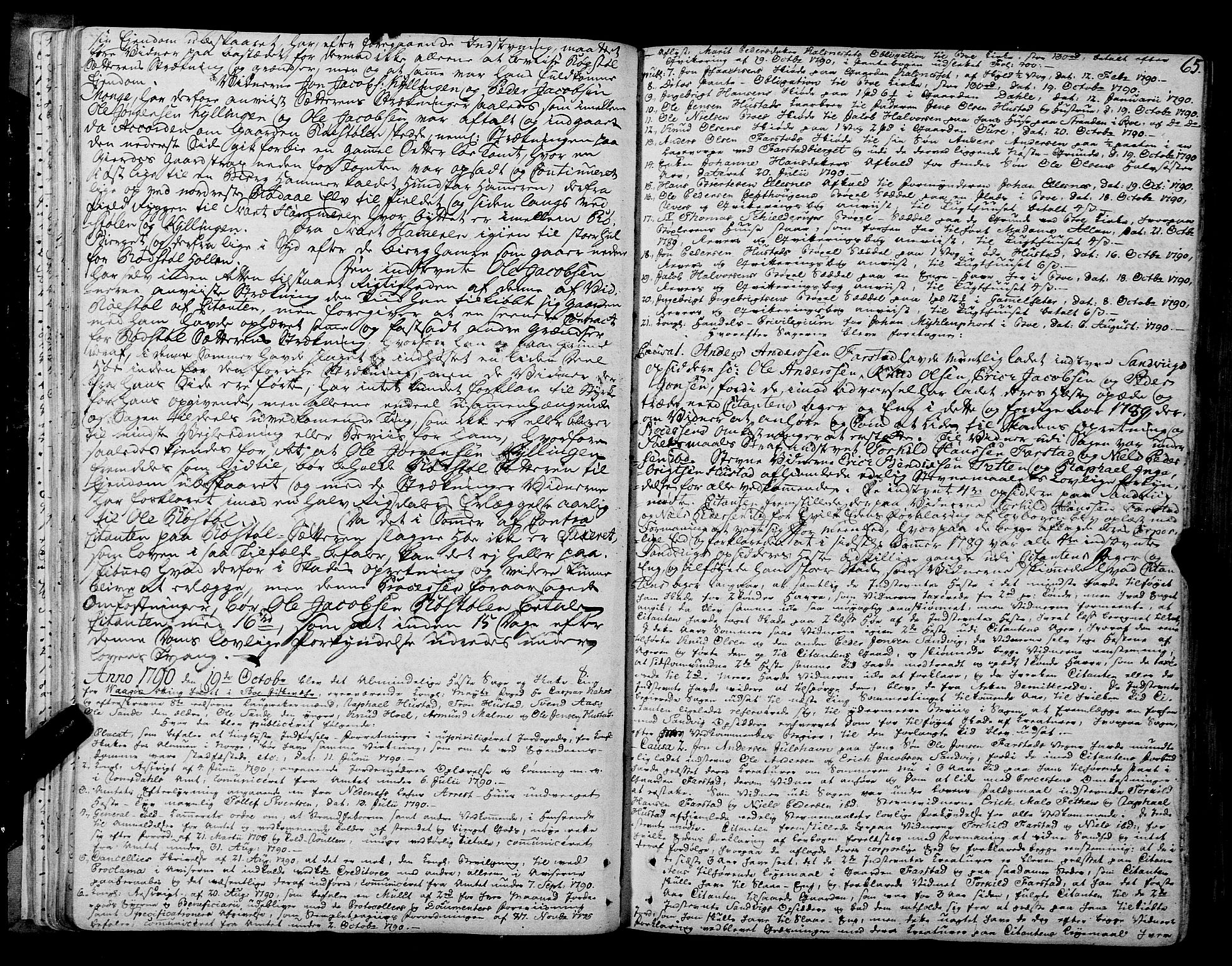 Romsdal sorenskriveri, AV/SAT-A-4149/1/1/1A/L0017: Tingbok, 1789-1803, p. 64b-65a