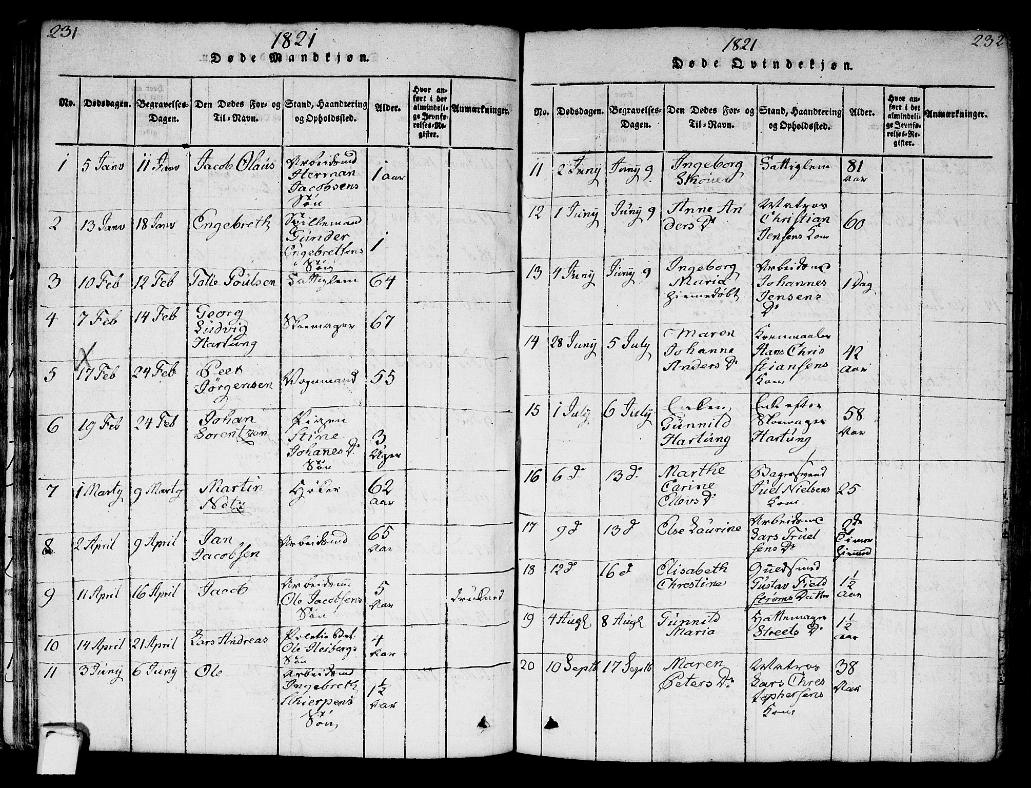 Strømsø kirkebøker, AV/SAKO-A-246/F/Fa/L0011: Parish register (official) no. I 11, 1815-1829, p. 231-232