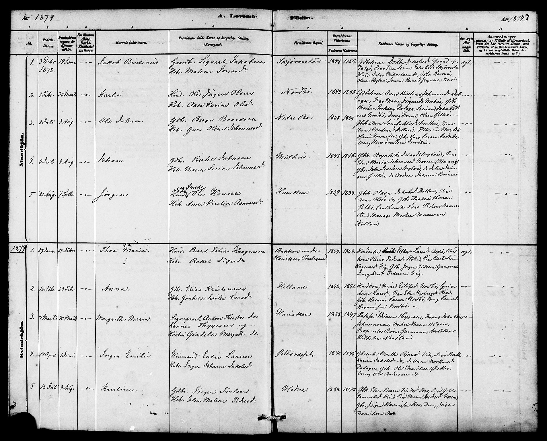 Rennesøy sokneprestkontor, AV/SAST-A -101827/H/Ha/Haa/L0007: Parish register (official) no. A 7, 1878-1884, p. 7