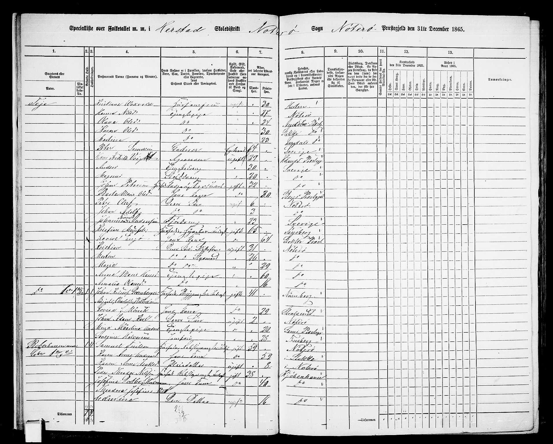 RA, 1865 census for Nøtterøy, 1865, p. 22