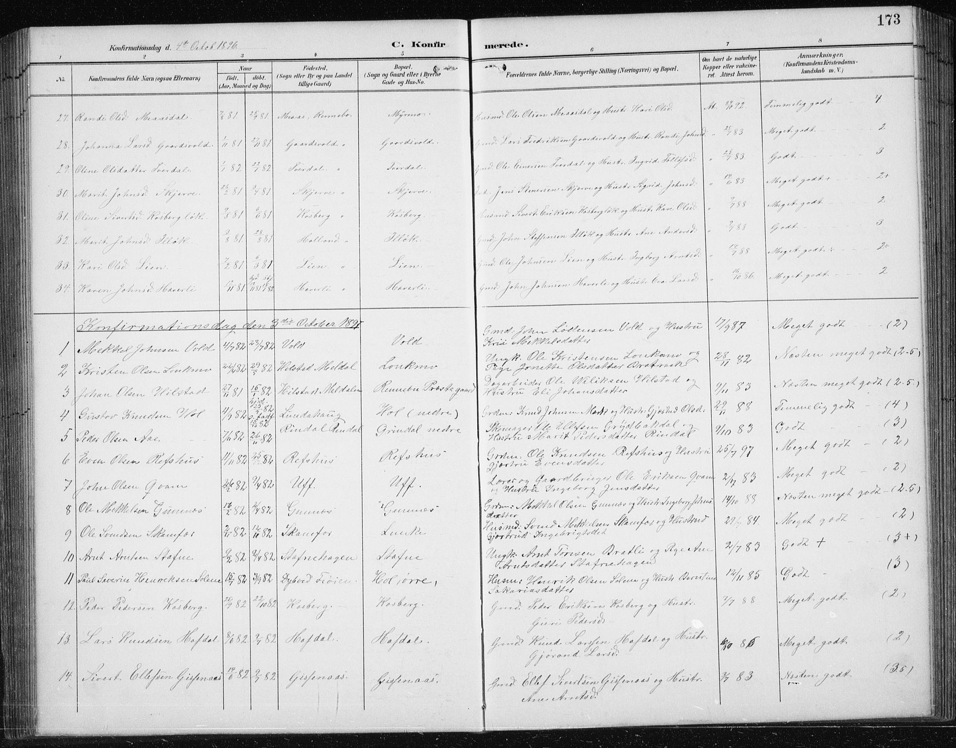 Ministerialprotokoller, klokkerbøker og fødselsregistre - Sør-Trøndelag, SAT/A-1456/674/L0876: Parish register (copy) no. 674C03, 1892-1912, p. 173