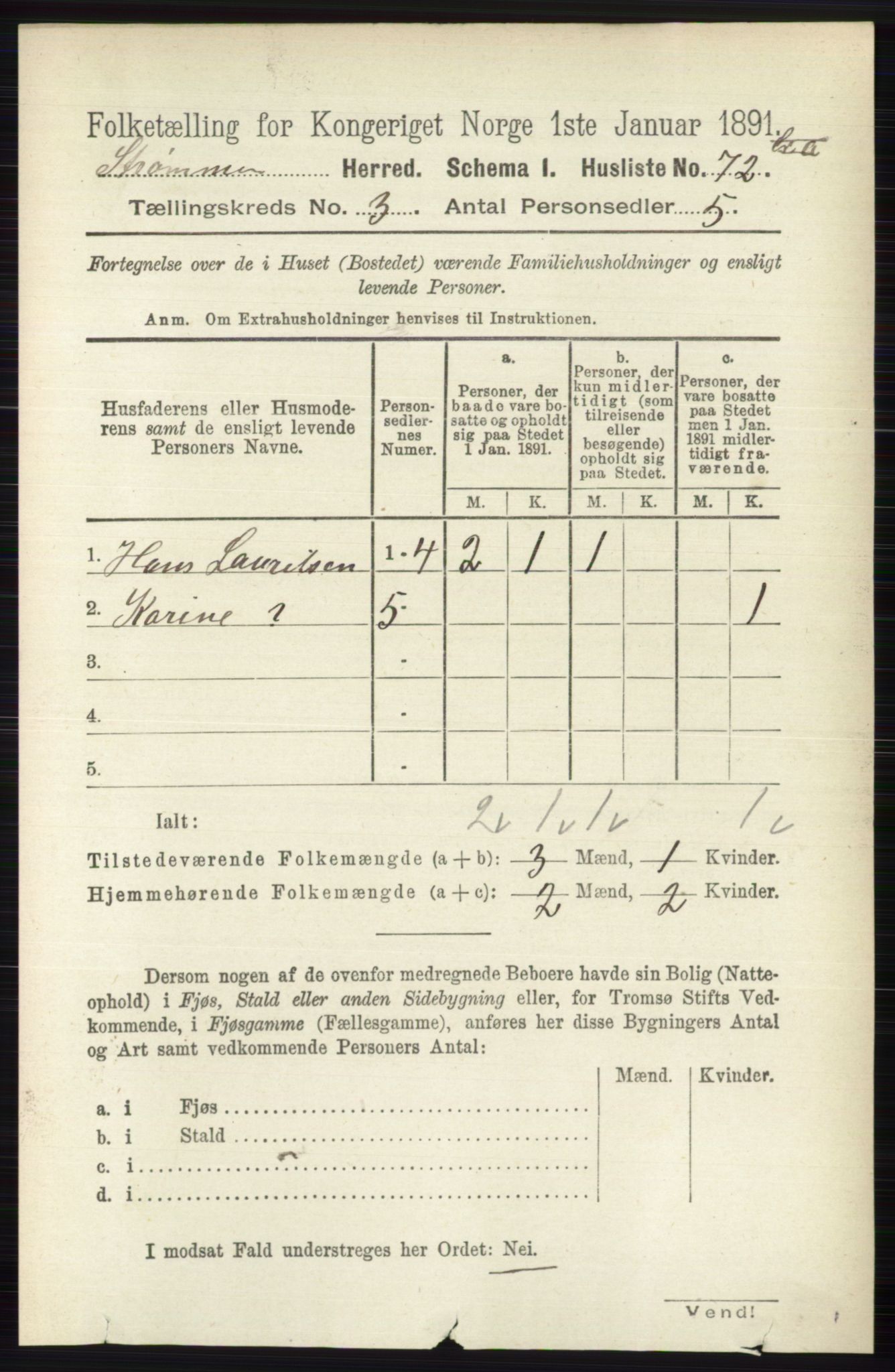 RA, 1891 census for 0711 Strømm, 1891, p. 1063