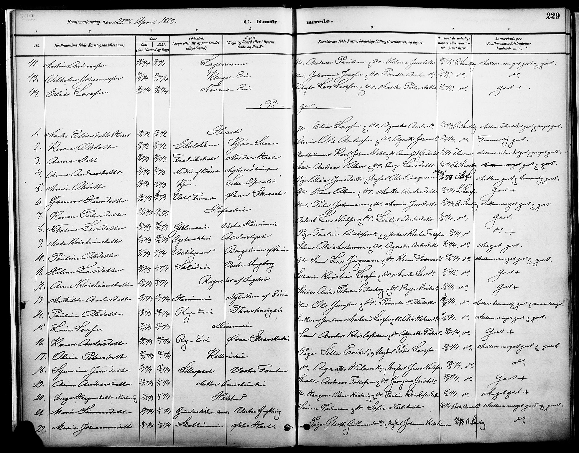 Vang prestekontor, Hedmark, AV/SAH-PREST-008/H/Ha/Haa/L0019A: Parish register (official) no. 19, 1886-1900, p. 229