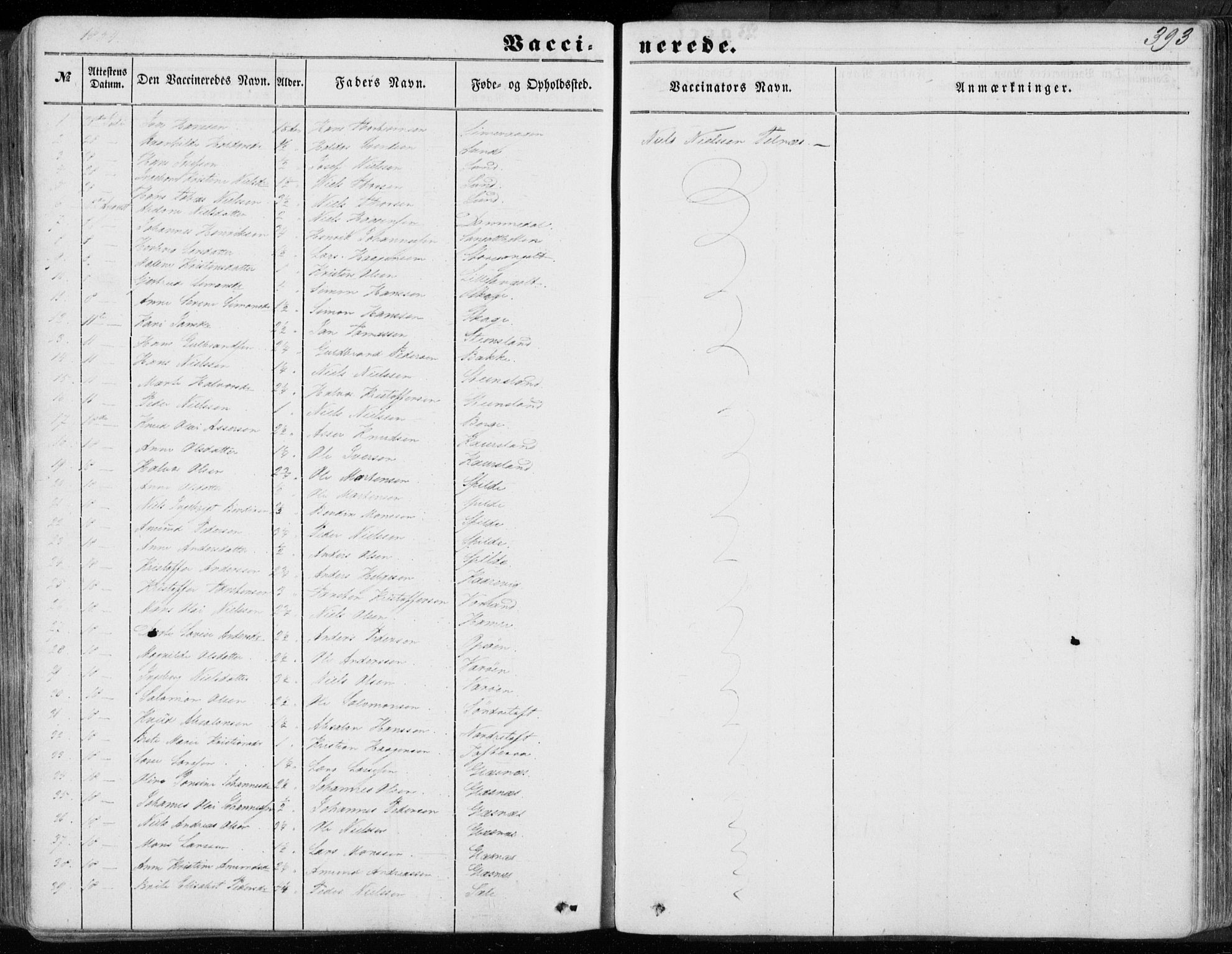 Sund sokneprestembete, AV/SAB-A-99930: Parish register (official) no. A 14, 1850-1866, p. 393