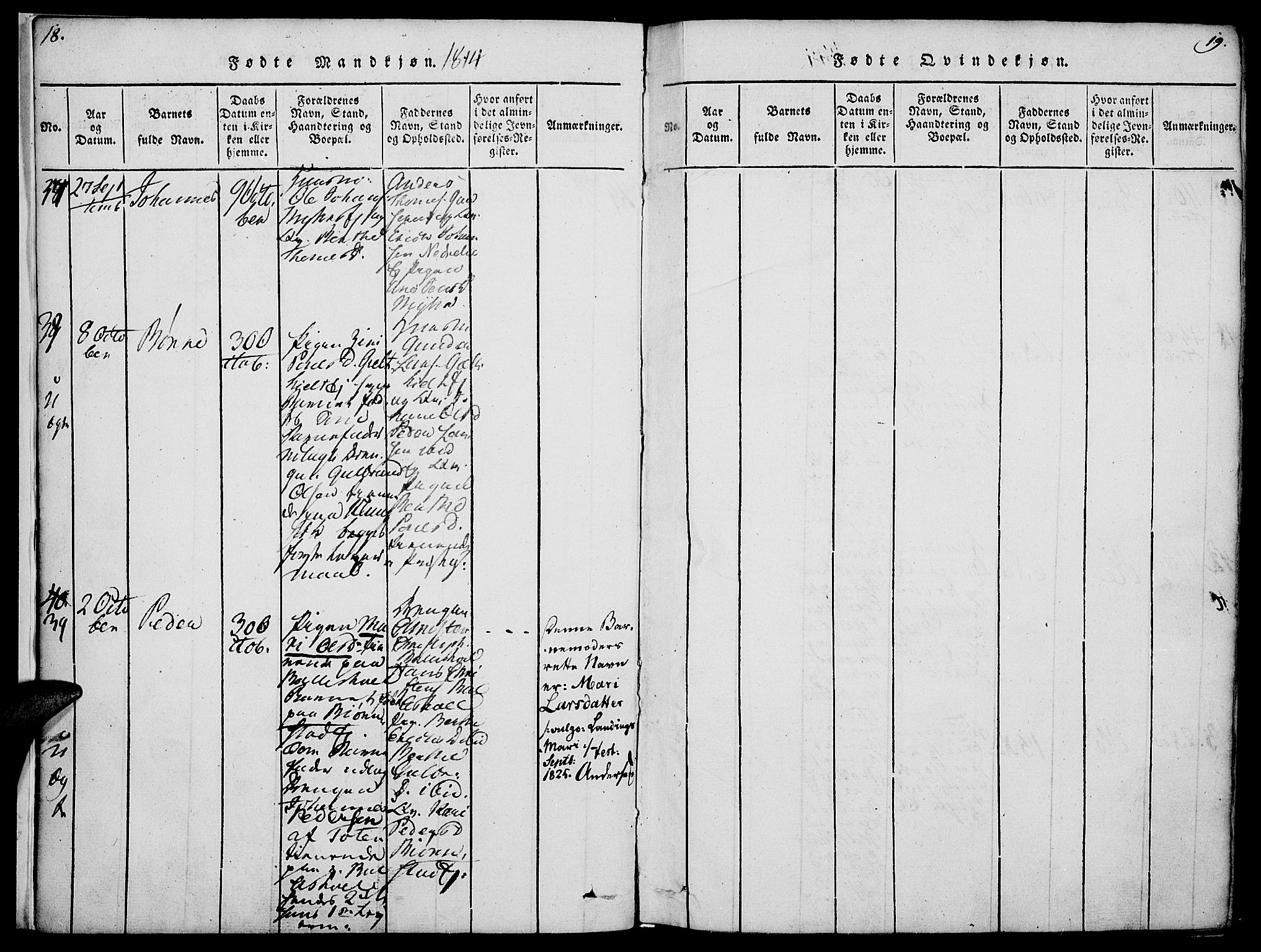 Nes prestekontor, Hedmark, SAH/PREST-020/K/Ka/L0002: Parish register (official) no. 2, 1813-1827, p. 18-19