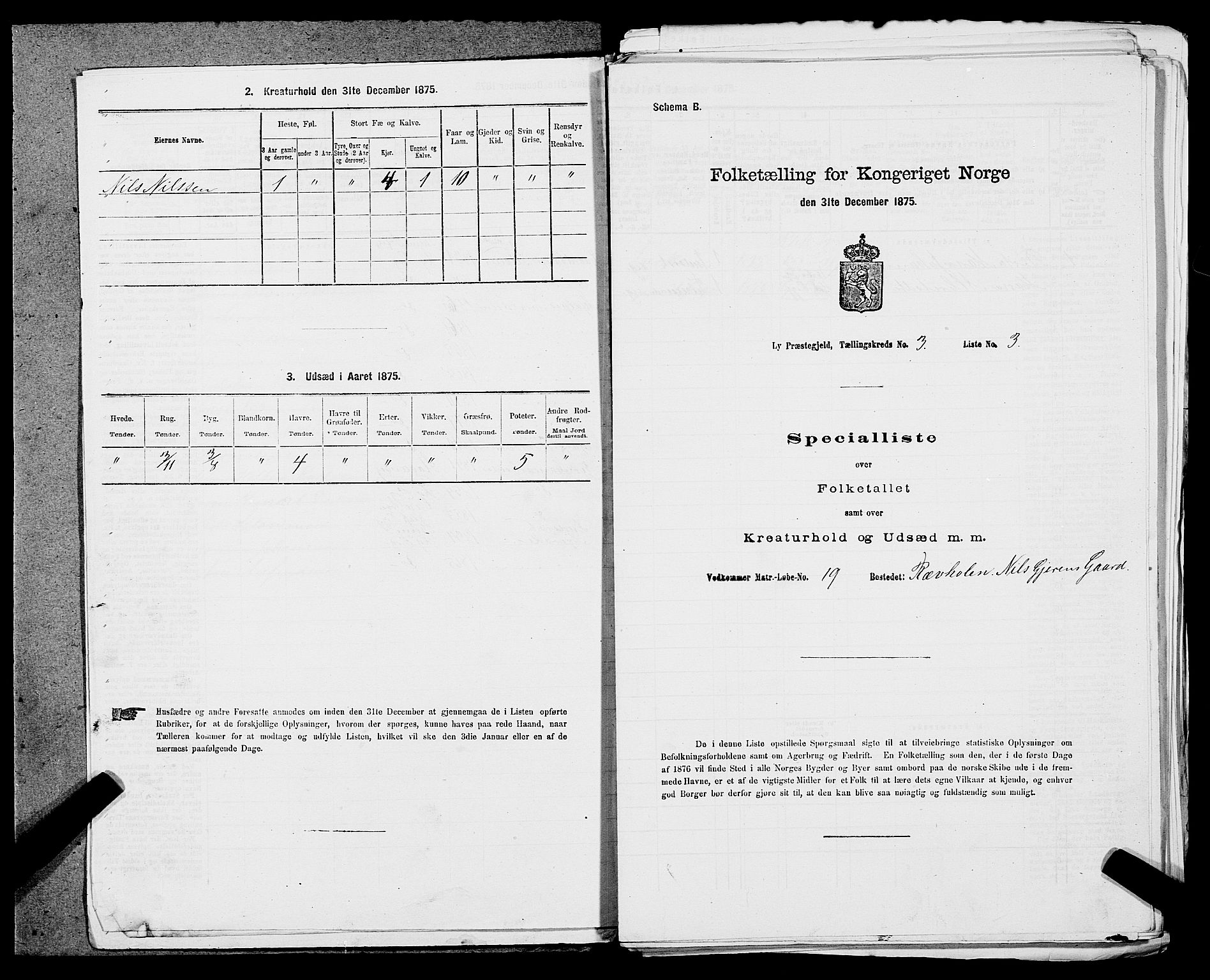 SAST, 1875 census for 1121P Lye, 1875, p. 332