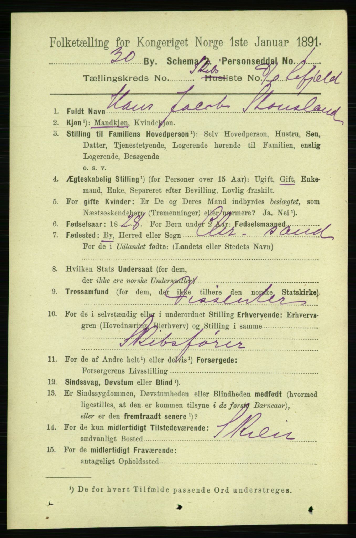 RA, 1891 census for 0806 Skien, 1891, p. 11510