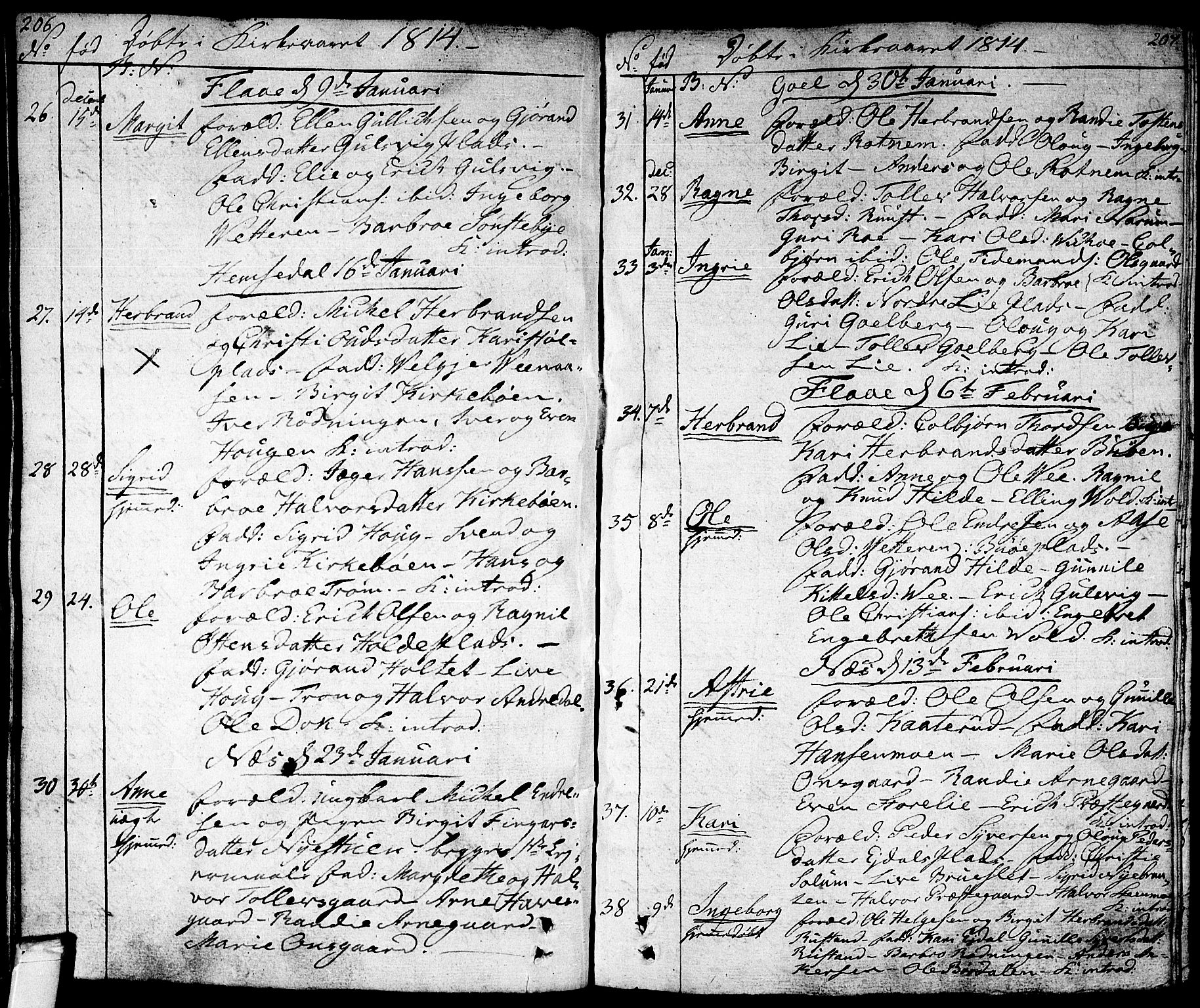 Nes kirkebøker, SAKO/A-236/F/Fa/L0006: Parish register (official) no. 6, 1808-1814, p. 206-207