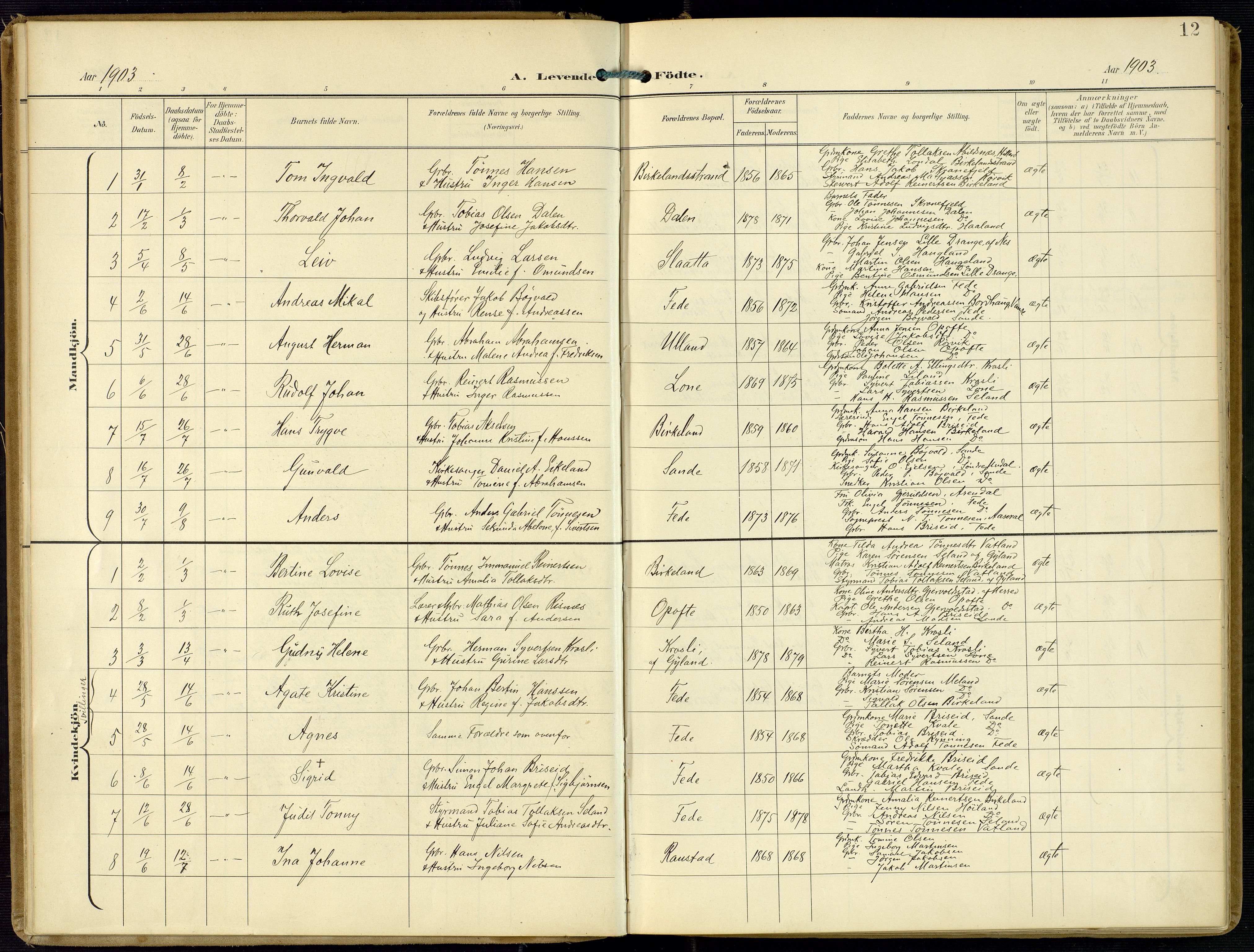 Kvinesdal sokneprestkontor, AV/SAK-1111-0026/F/Fa/Faa/L0005: Parish register (official) no. A 5, 1898-1915, p. 12