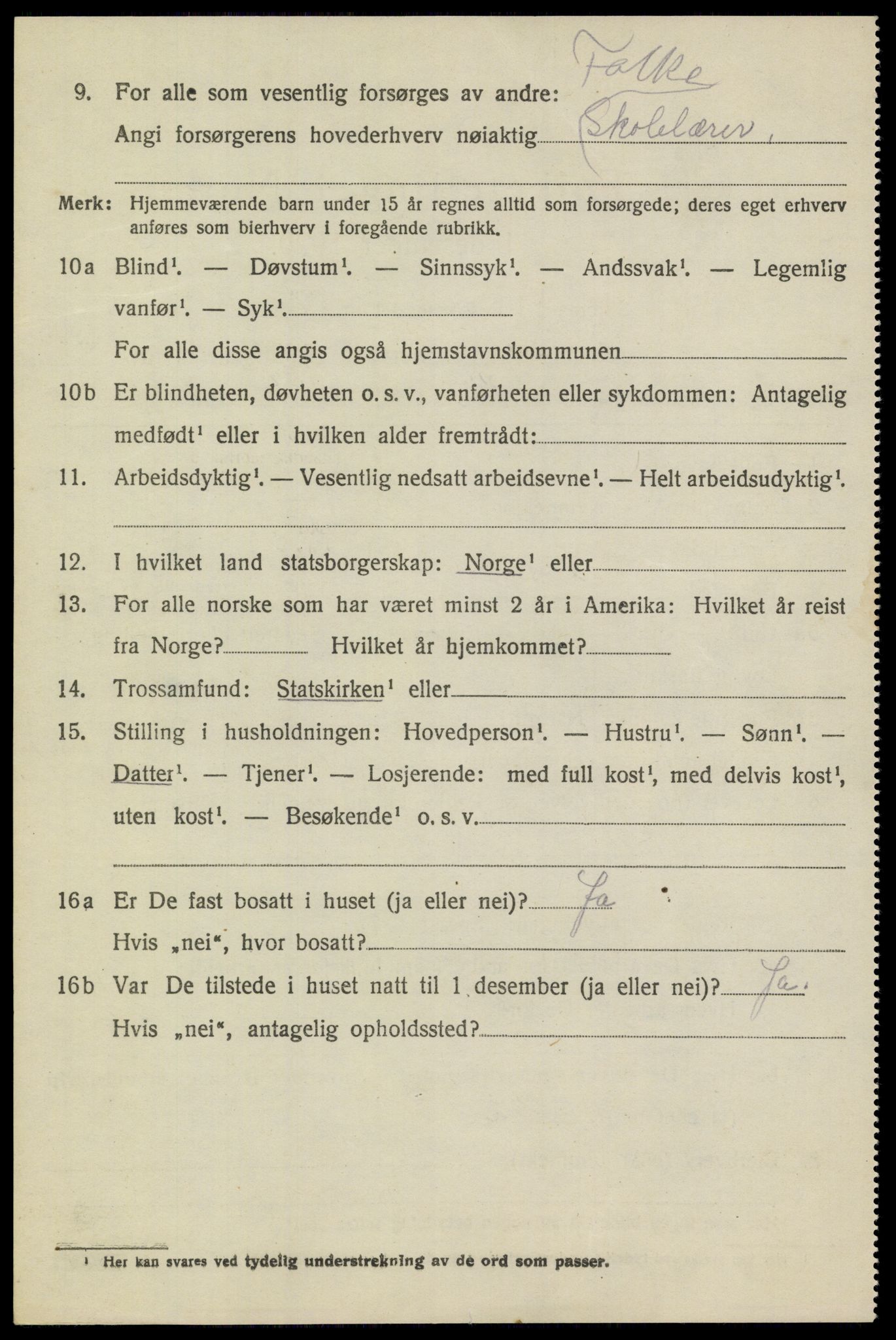 SAKO, 1920 census for Heddal, 1920, p. 6003