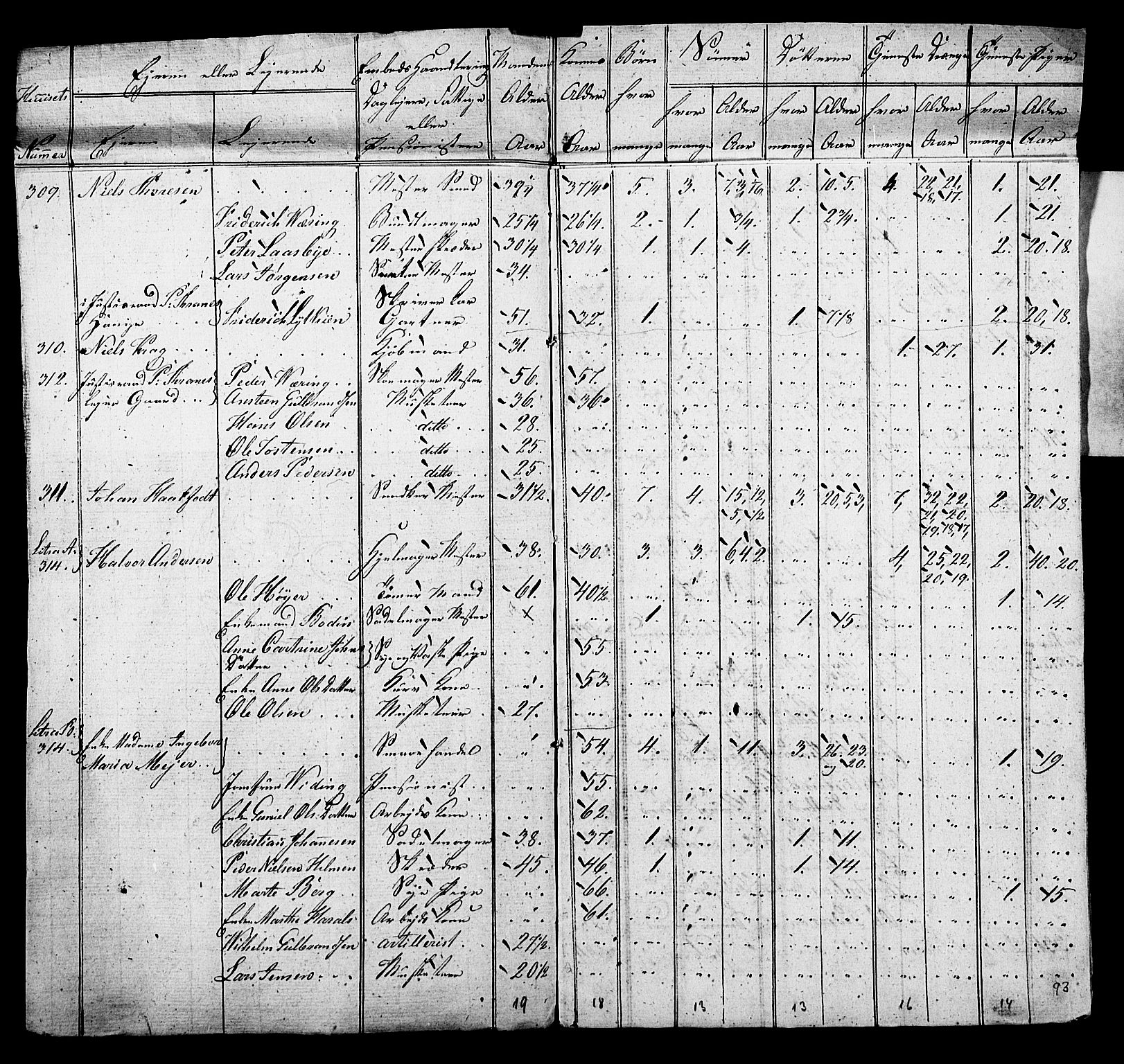 SAO, Census 1815 for Kristiania, 1815, p. 196