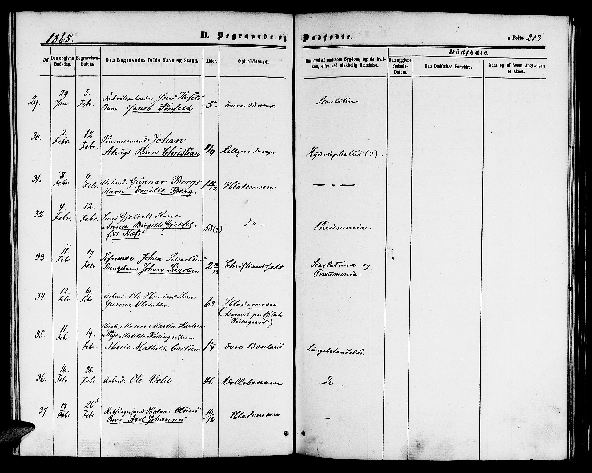 Ministerialprotokoller, klokkerbøker og fødselsregistre - Sør-Trøndelag, AV/SAT-A-1456/604/L0185: Parish register (official) no. 604A06, 1861-1865, p. 213