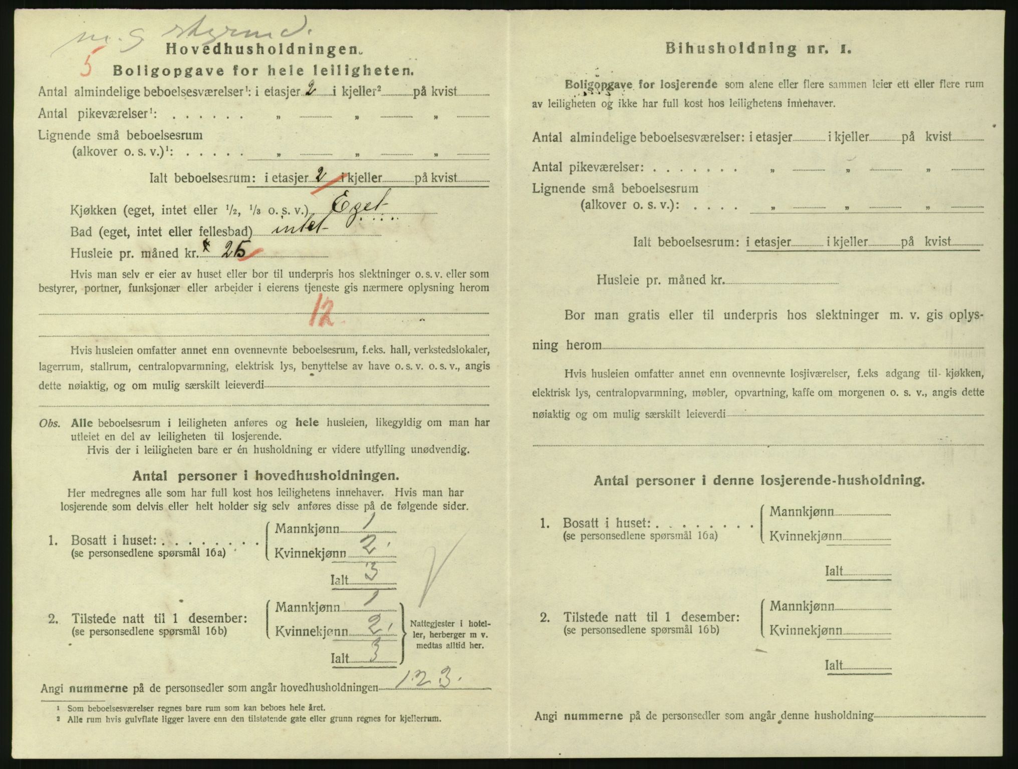 SAKO, 1920 census for Larvik, 1920, p. 3517