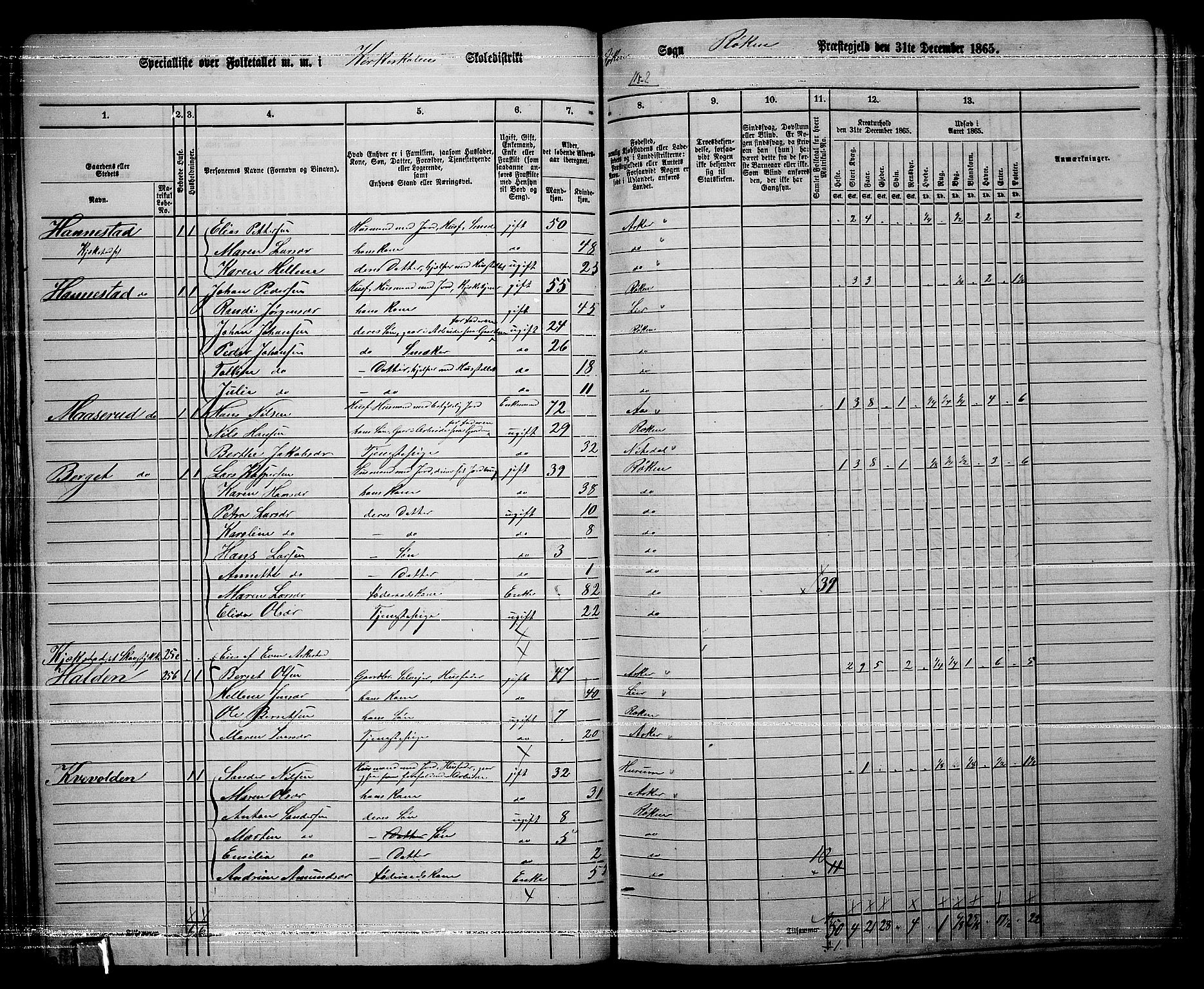 RA, 1865 census for Røyken, 1865, p. 47