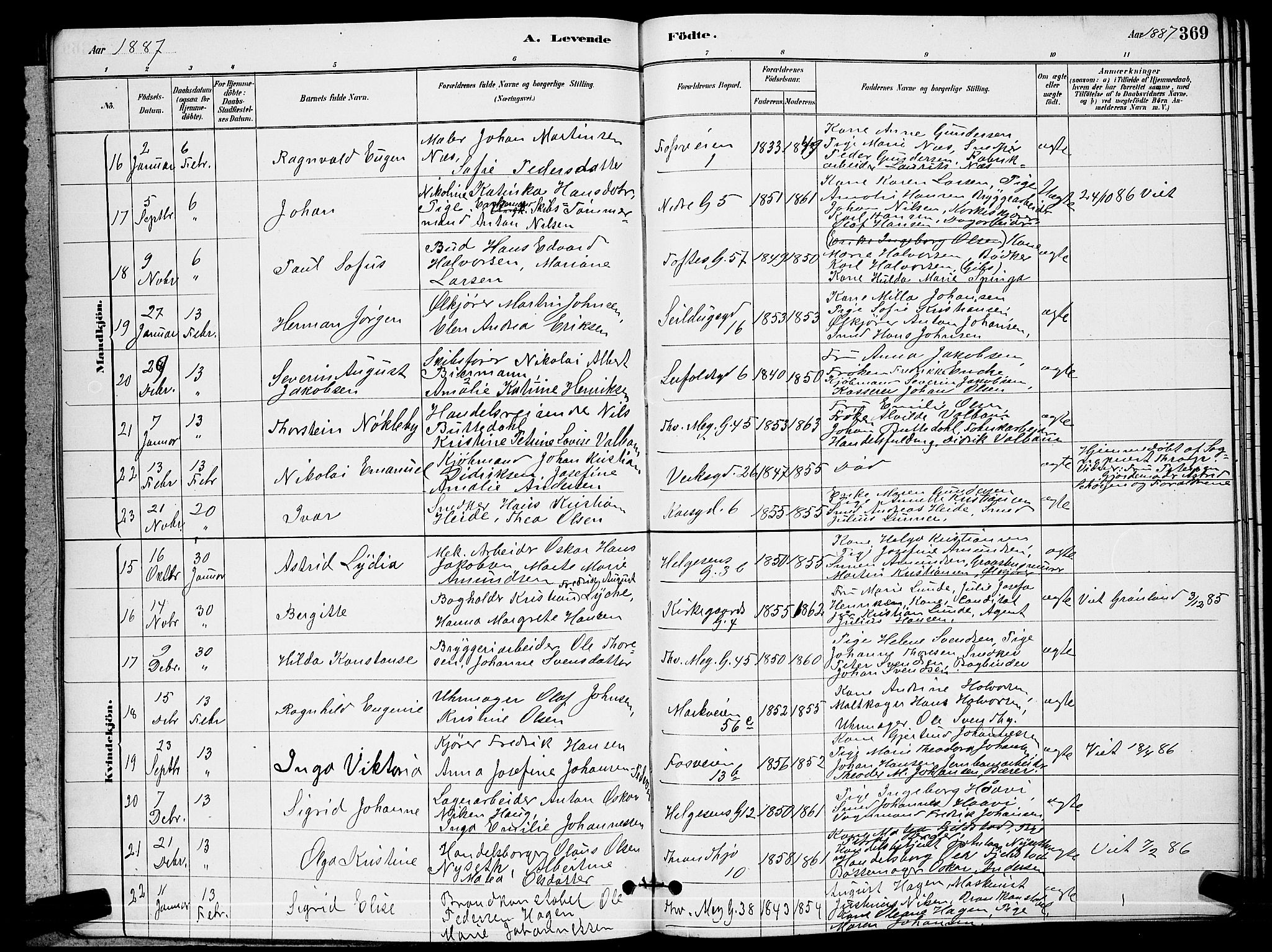 Paulus prestekontor Kirkebøker, AV/SAO-A-10871/G/Ga/L0002: Parish register (copy) no. 2, 1879-1887, p. 369