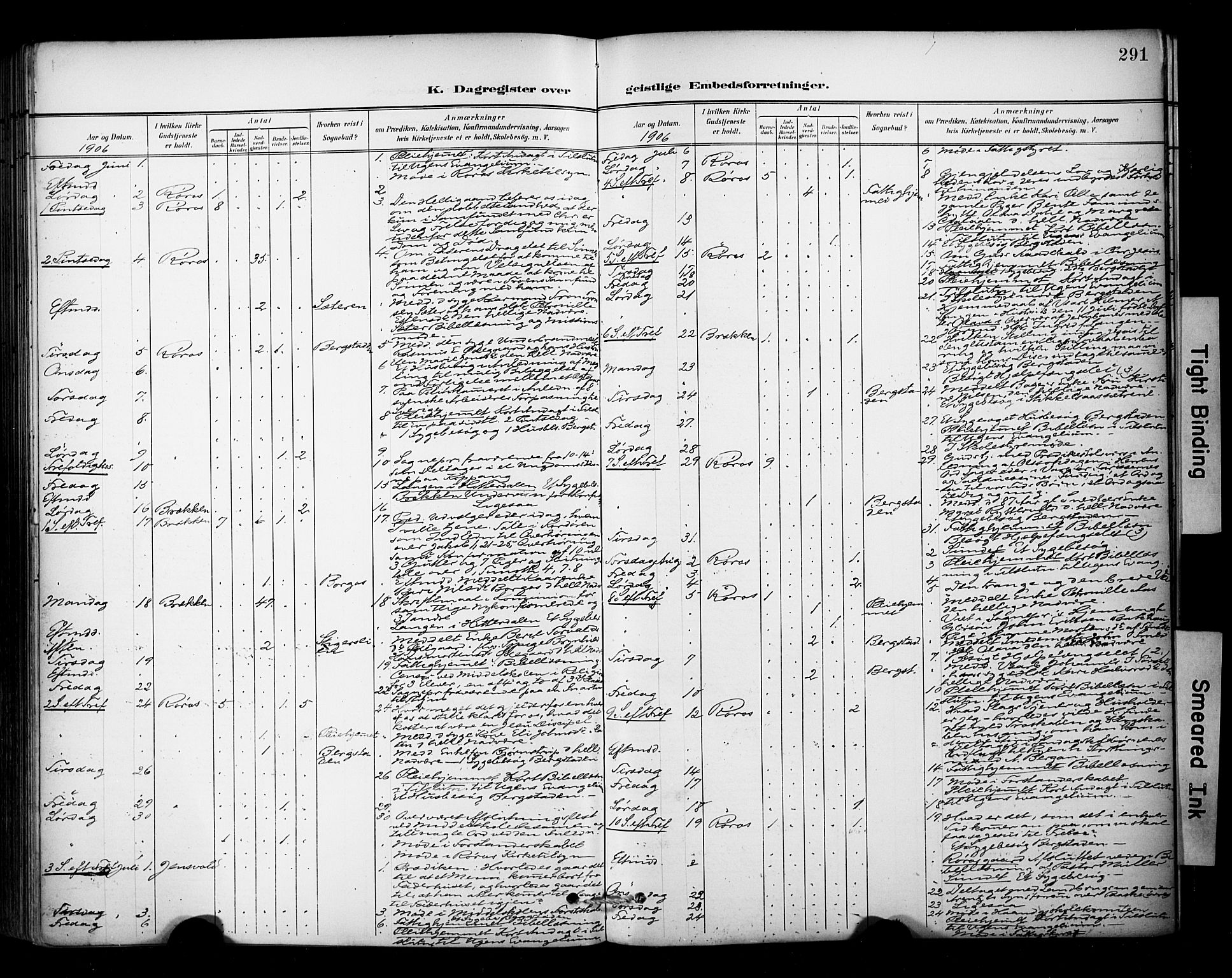 Ministerialprotokoller, klokkerbøker og fødselsregistre - Sør-Trøndelag, AV/SAT-A-1456/681/L0936: Parish register (official) no. 681A14, 1899-1908, p. 291