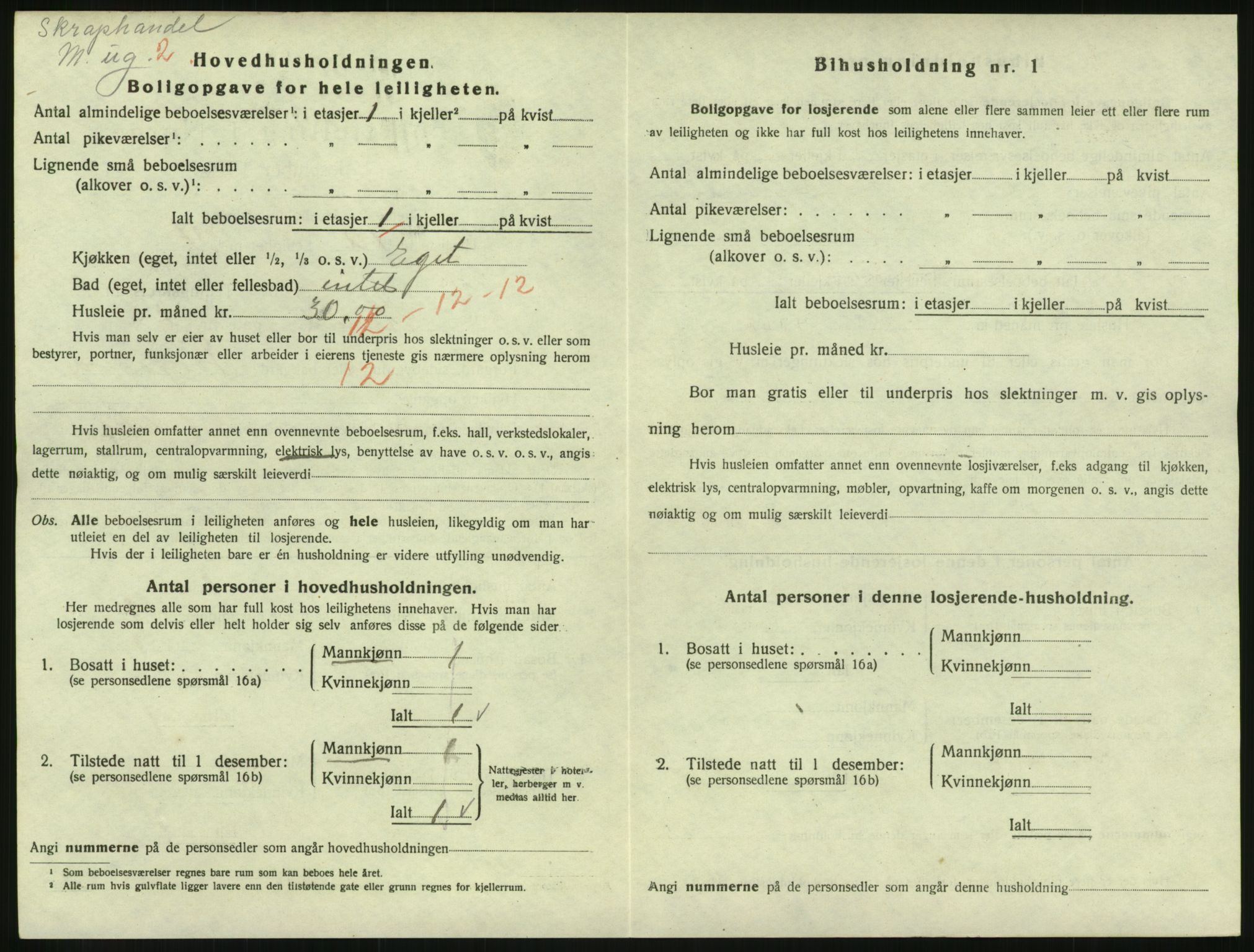 SAKO, 1920 census for Hønefoss, 1920, p. 765